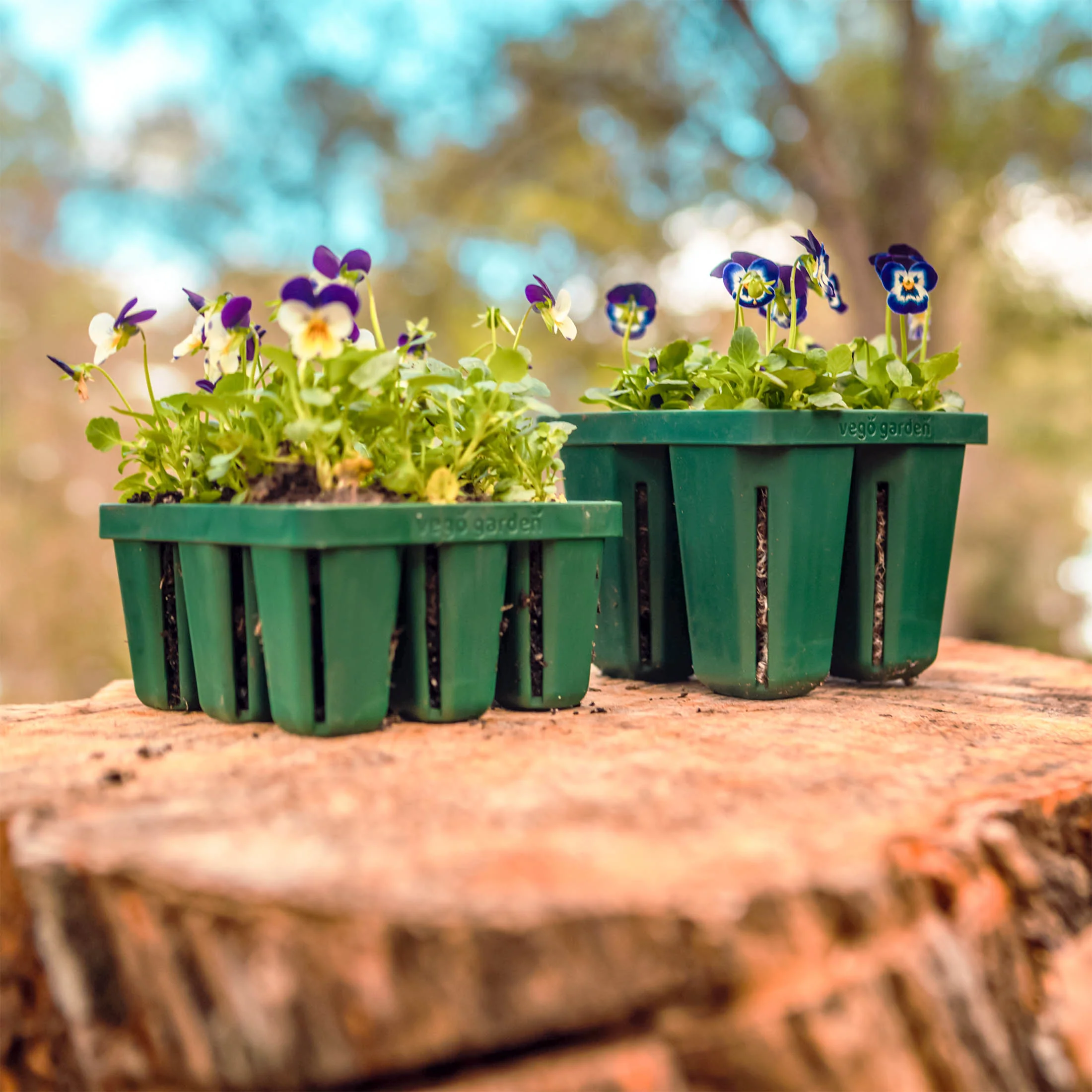 Seed Starting Bundle with Lid - 10 in. x 10 in. - Image 7