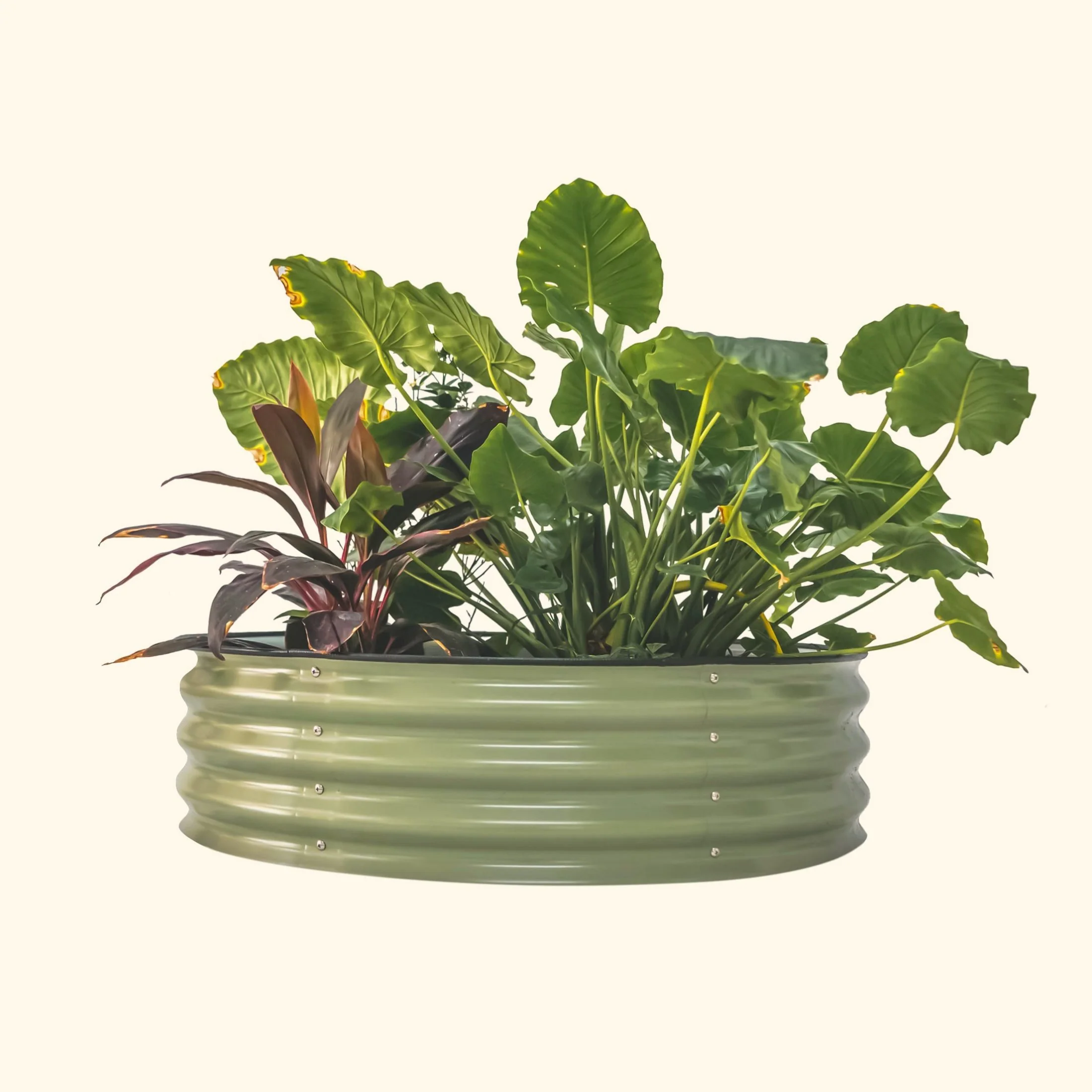 11" Tall 42" Wide Round Metal Raised Garden Bed Kit - Image 3