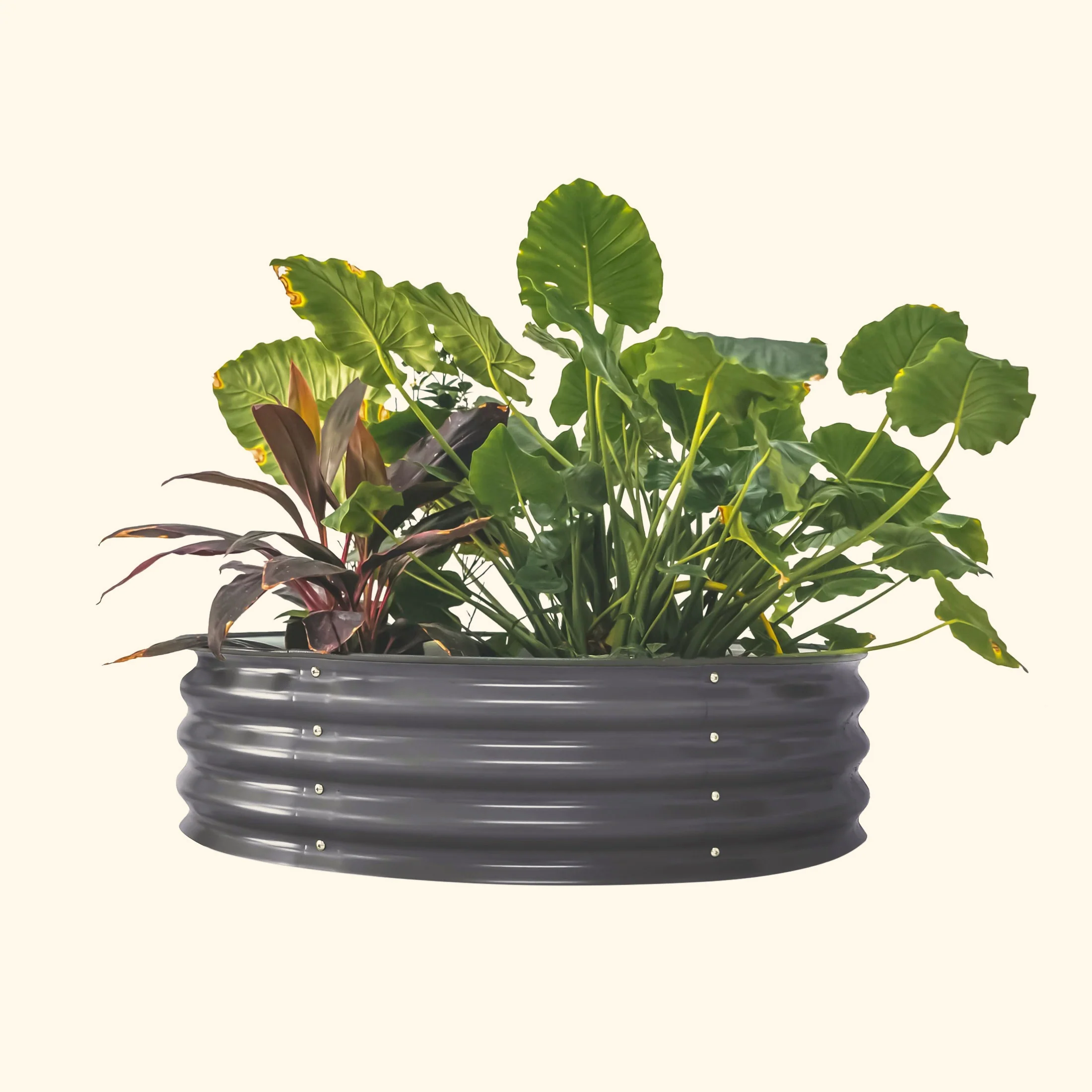 11" Tall 42" Wide Round Metal Raised Garden Bed Kit - Image 4