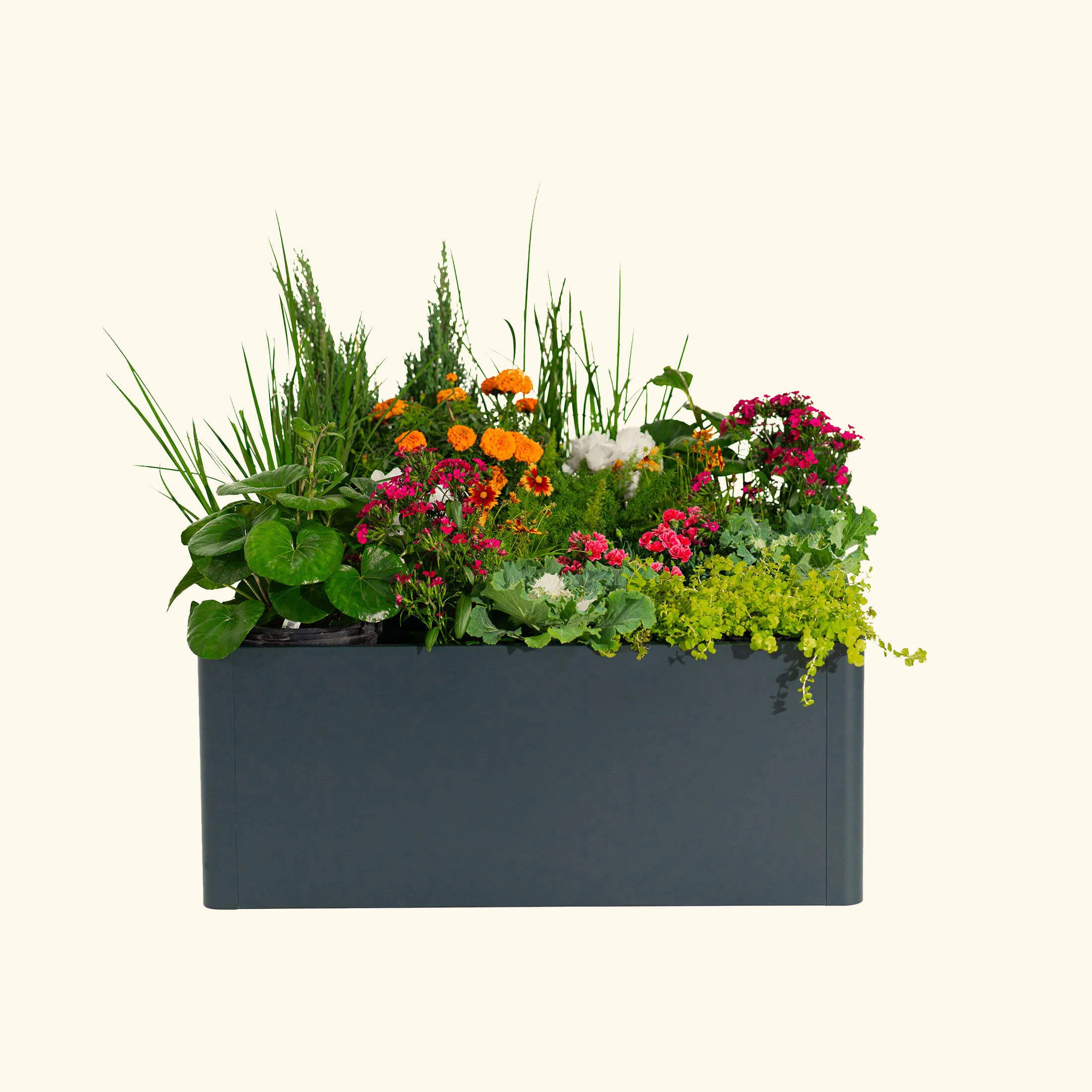 17" Tall Modern 42" x 42" Metal Raised Garden Bed - Image 21