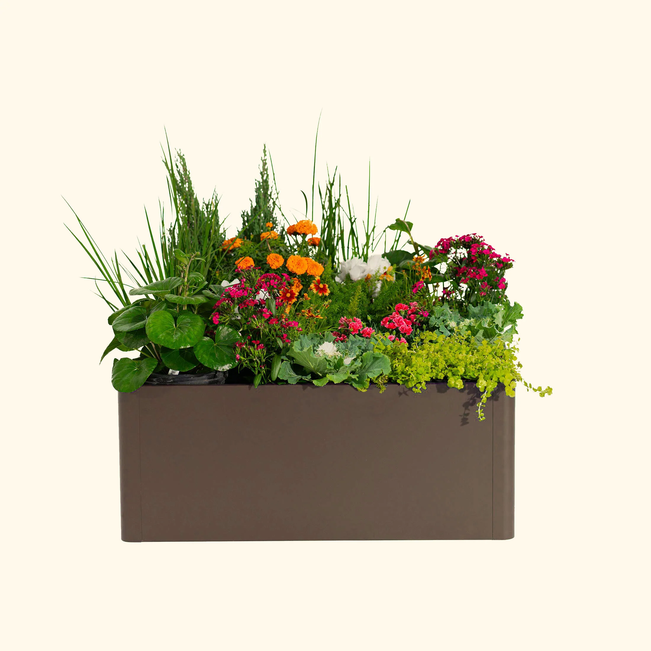 17" Tall Modern 42" x 83" Metal Raised Garden Bed - Image 22