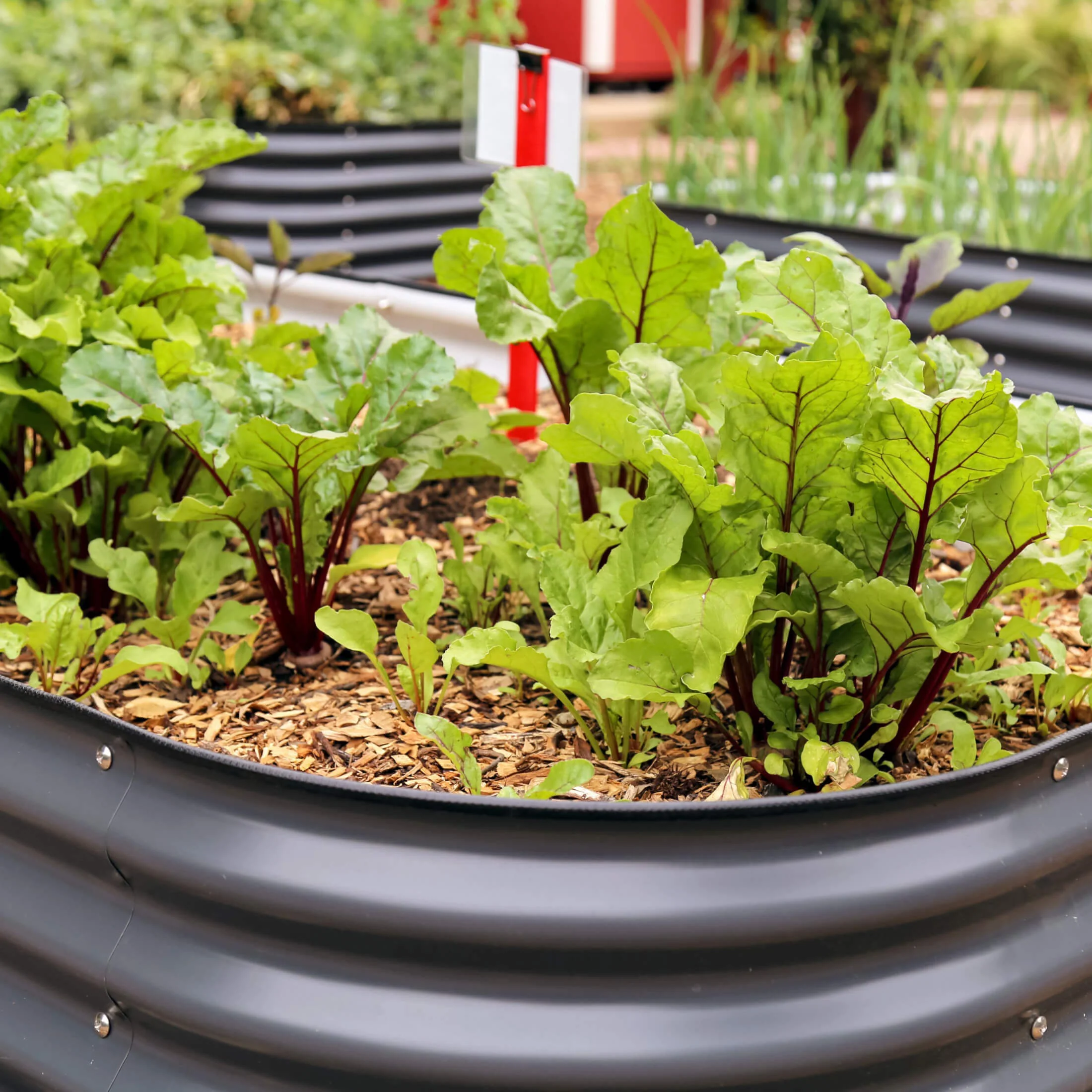 26" Tall 10 In 1 Jumbo Modular Metal Raised Garden Bed Kit - Image 11