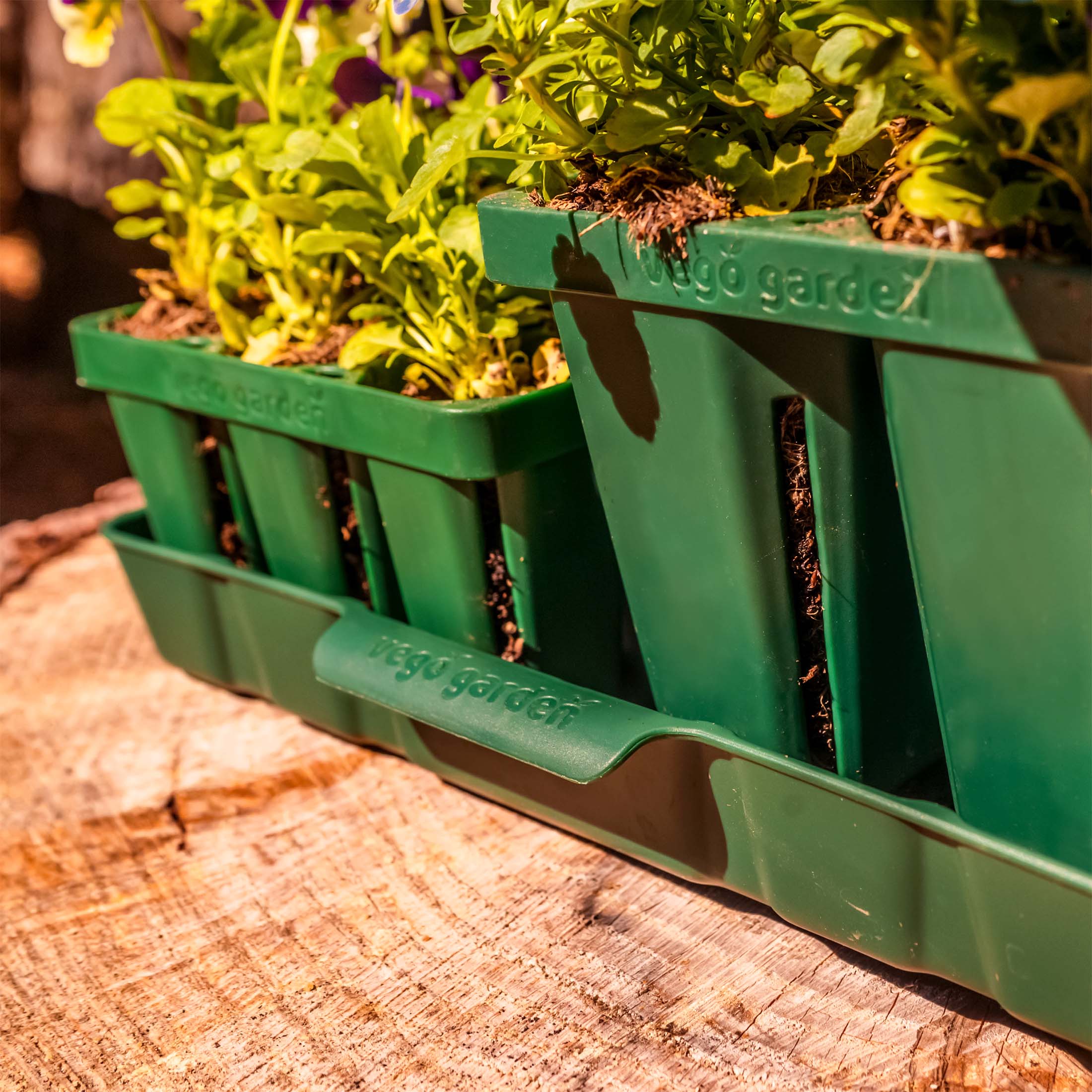 Bottom Watering Tray - Image 6