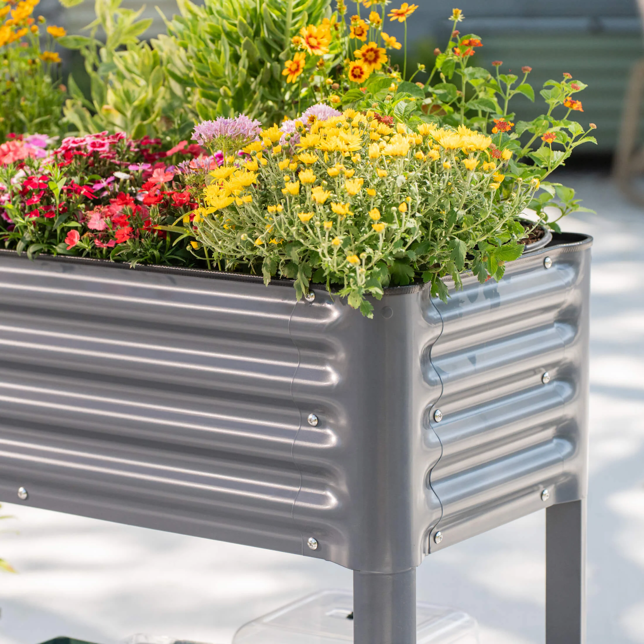 Elevated Garden Bed - Slim Series 1.5' x 3.5' - Image 15
