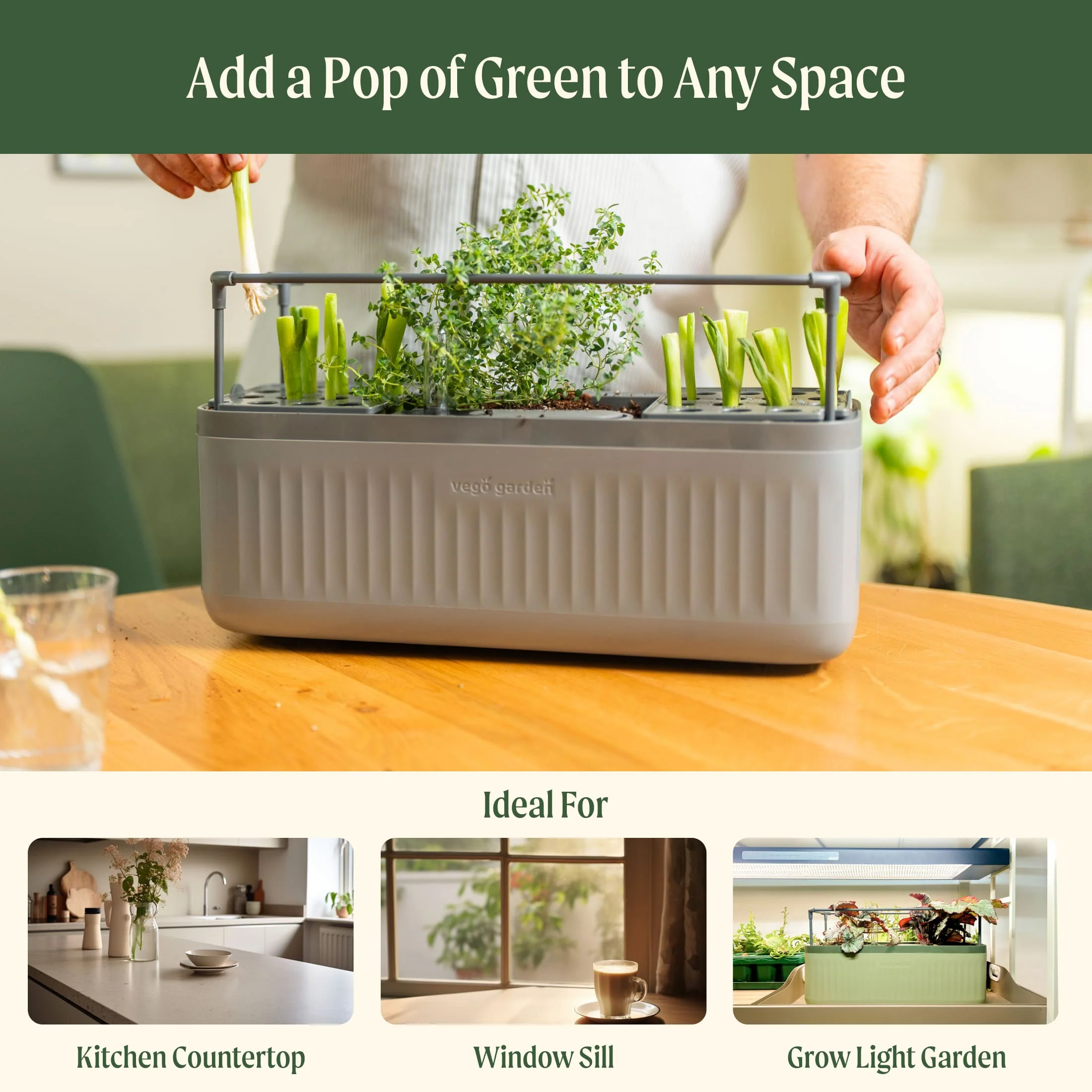 EZ Self-Watering Herb Planter with Trellis G2 - Image 14