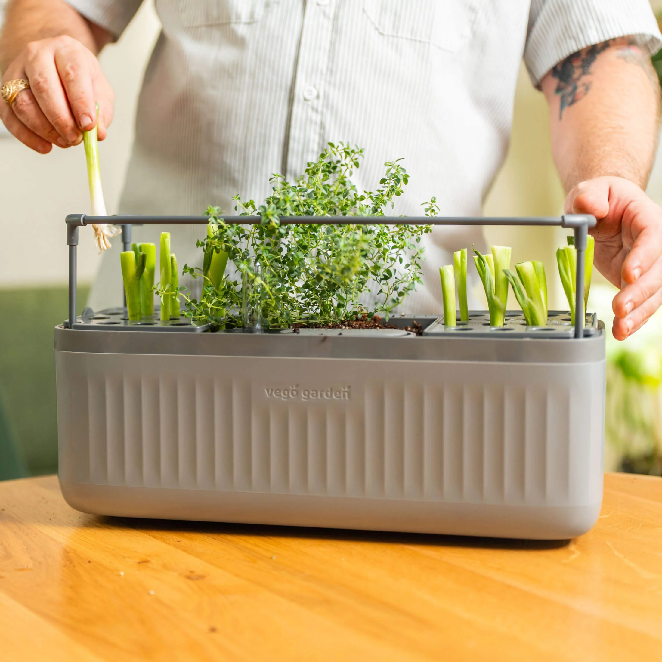 EZ Self-Watering Herb Planter with Trellis G2 - Image 3