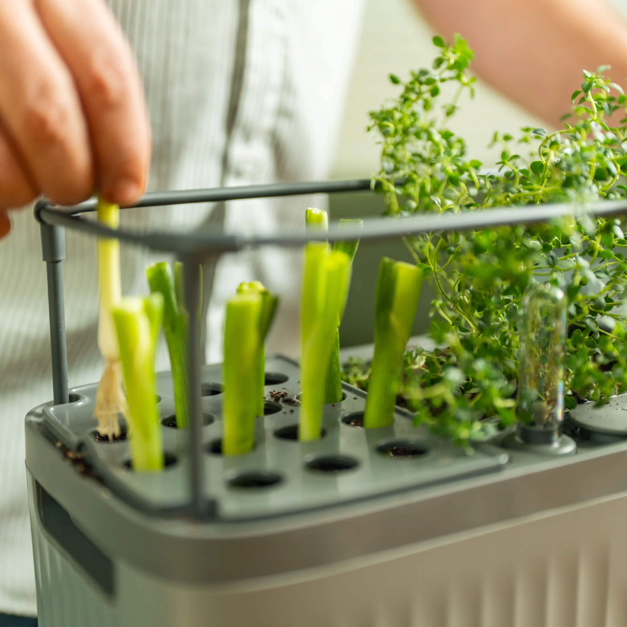 EZ Self-Watering Herb Planter with Trellis G2 - Image 4