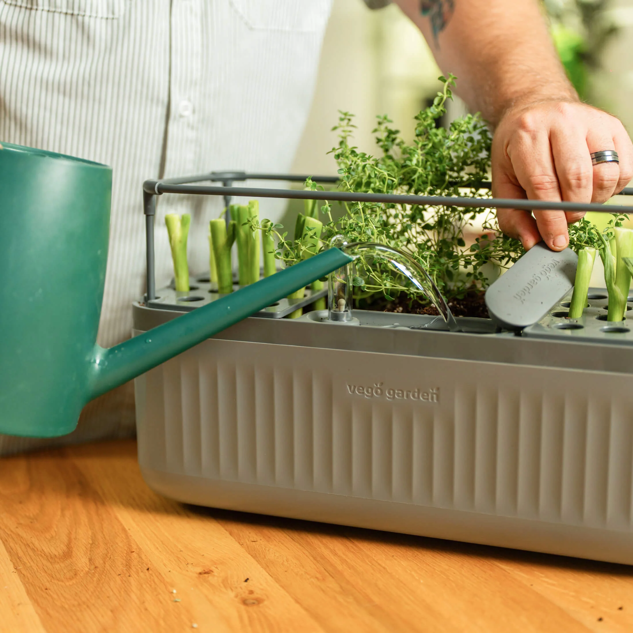 EZ Self-Watering Herb Planter with Trellis G2 - Image 5