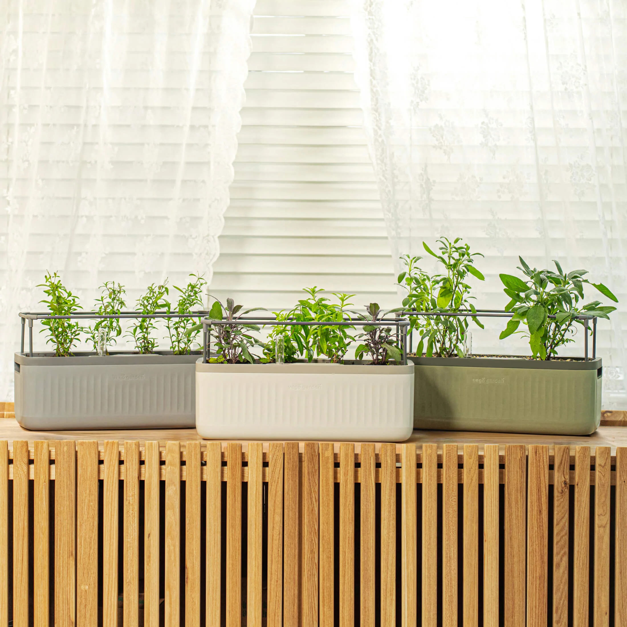 EZ Self-Watering Herb Planter with Trellis G2 - Image 7