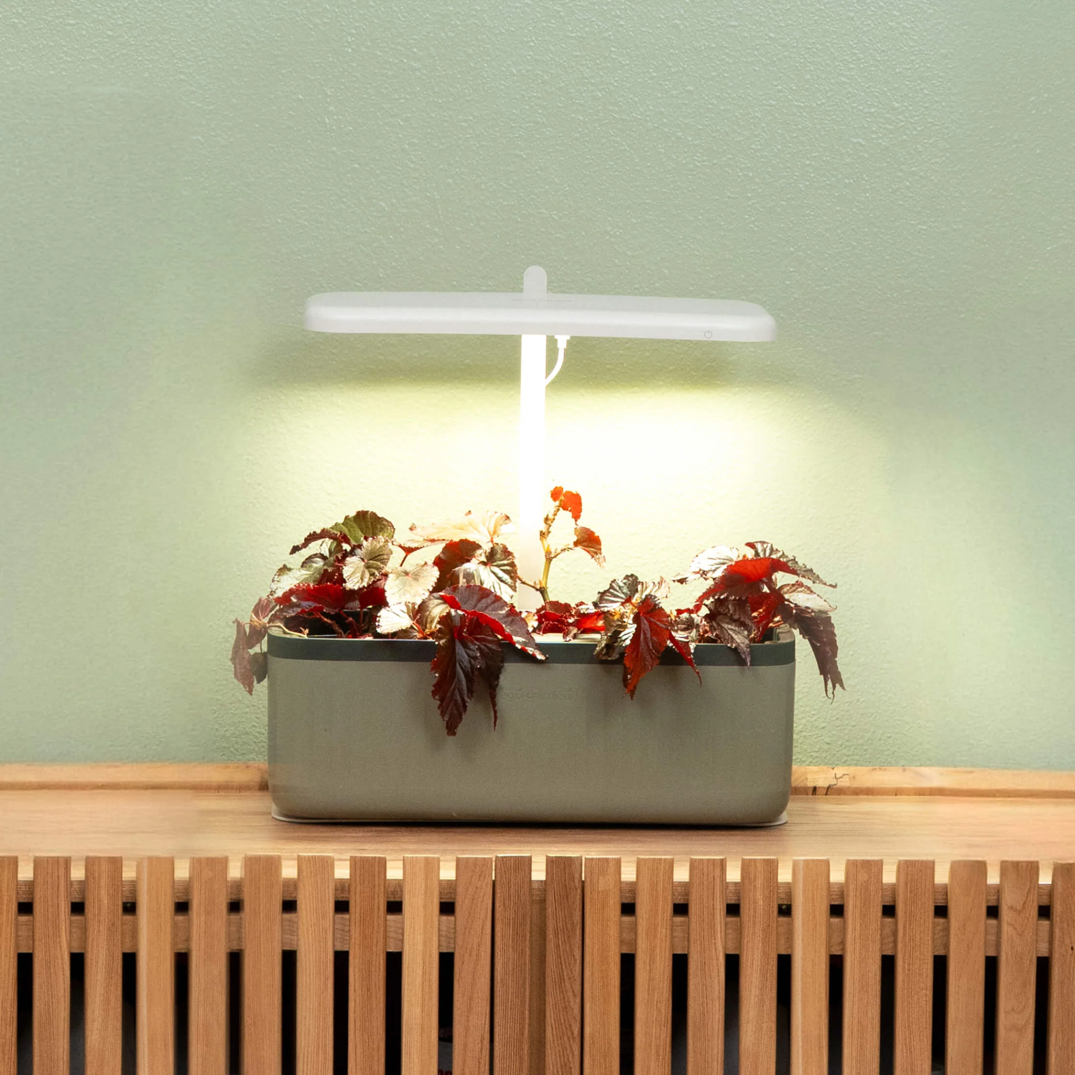 EZ Self-Watering Herb Planter with Trellis G2 - Image 8
