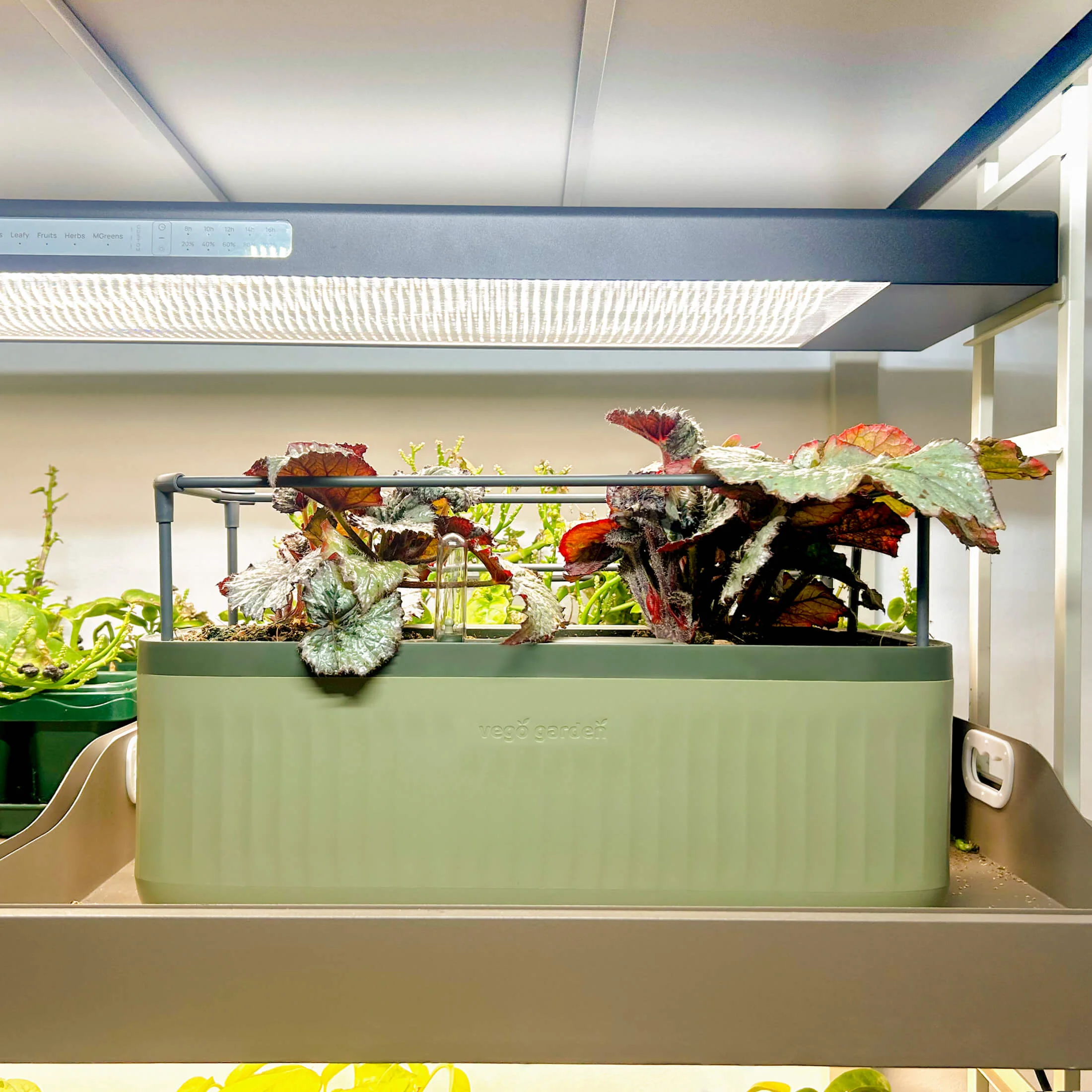 EZ Self-Watering Herb Planter with Trellis G2 - Image 9