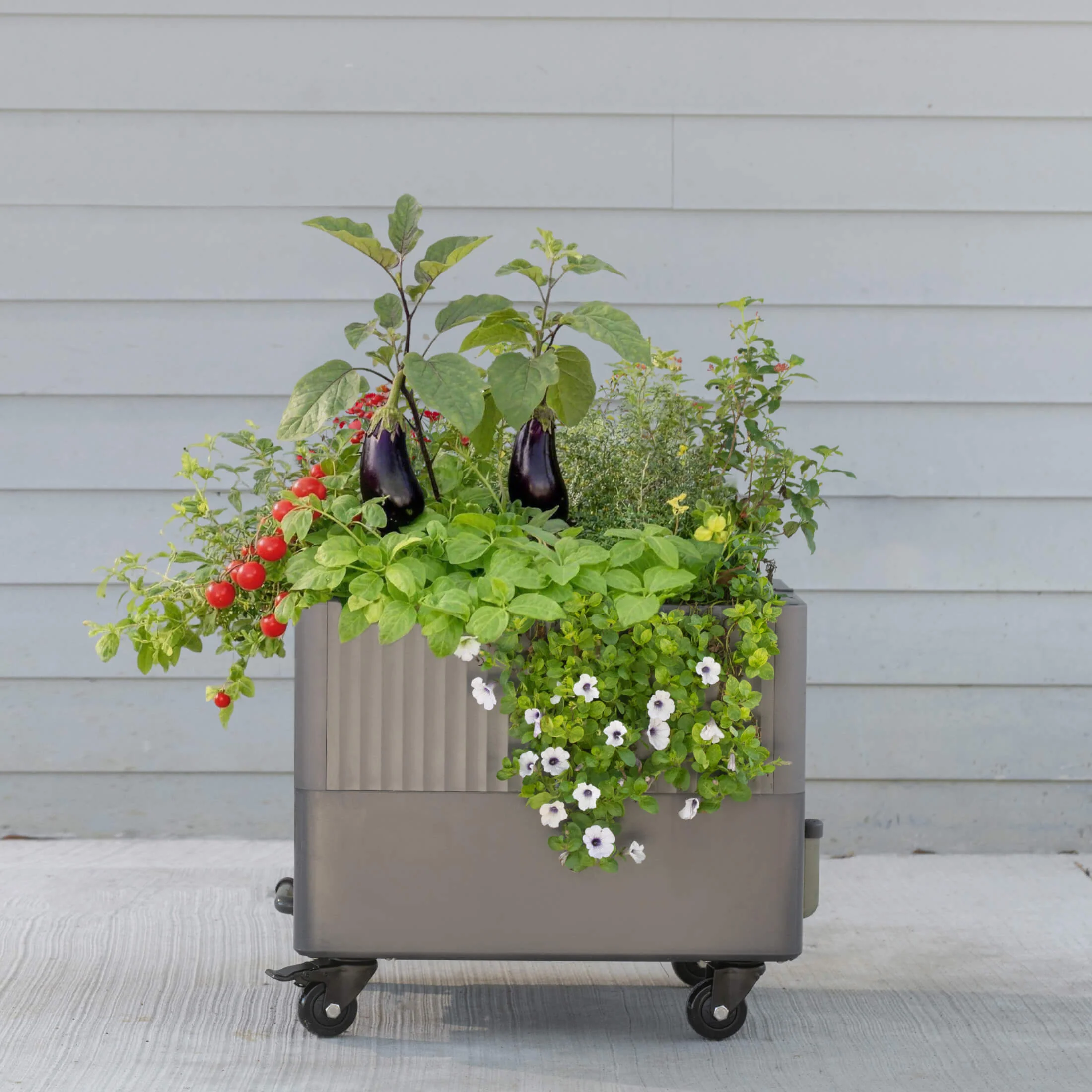 EZCube Self-Watering Rolling Planter 21” x 24” - Image 10