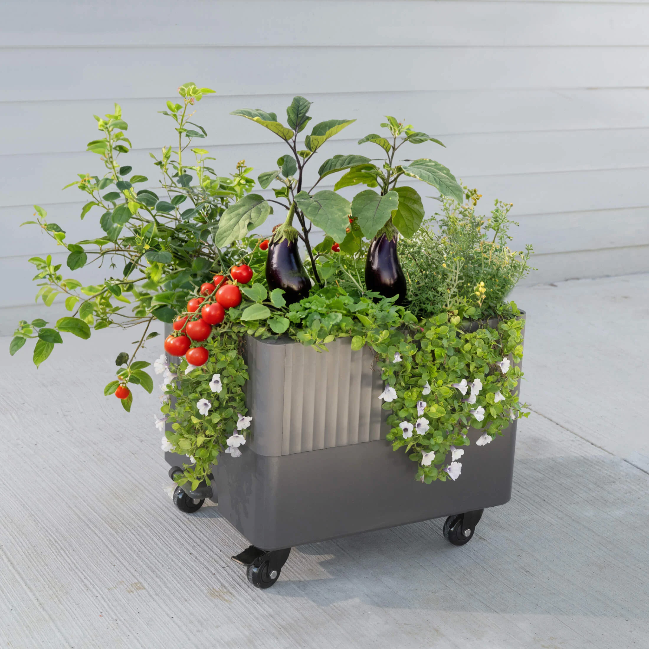 EZCube Self-Watering Rolling Planter 21” x 24” - Image 5