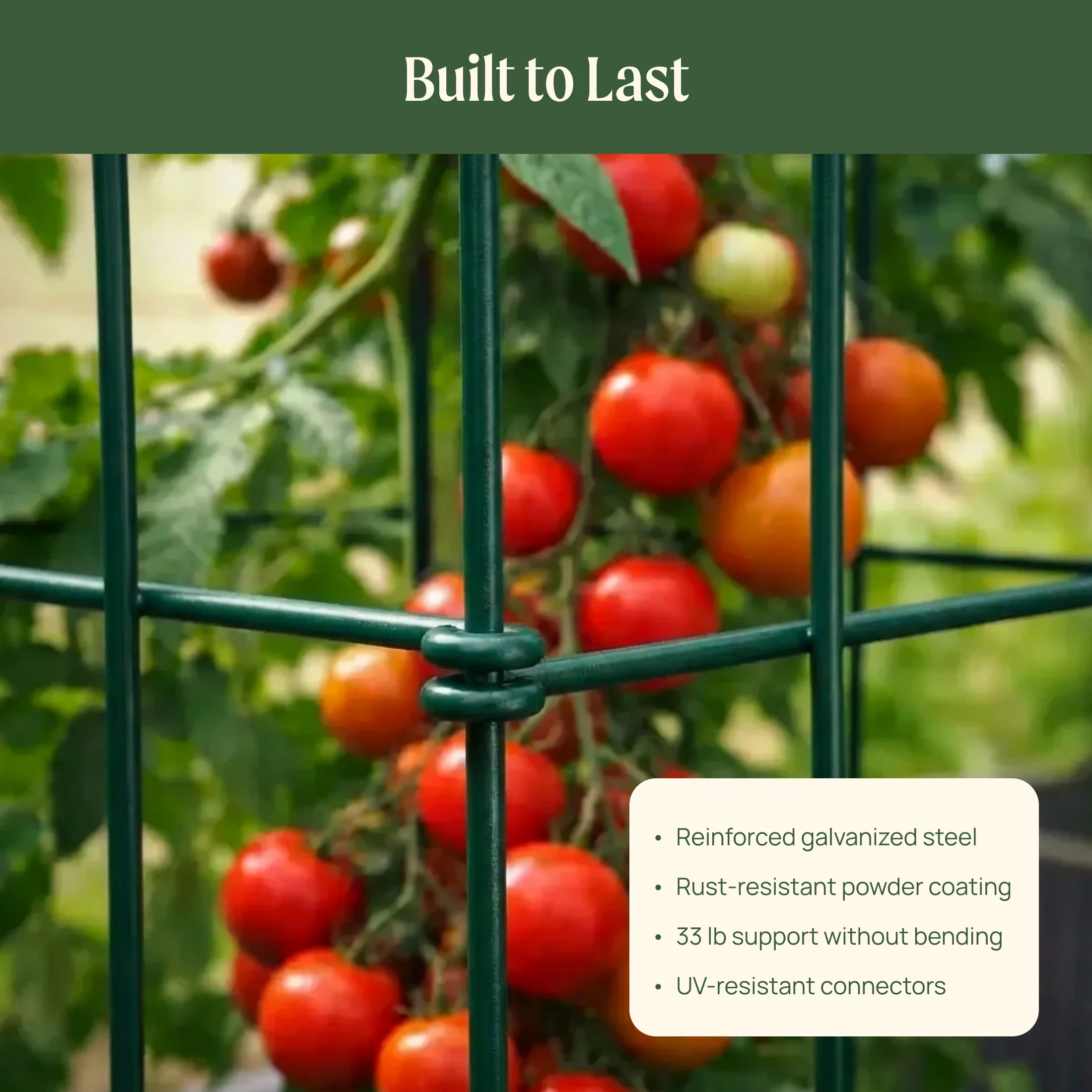 FlexGrow™ 3-Panel Tomato Cage - 11.5" - Image 8