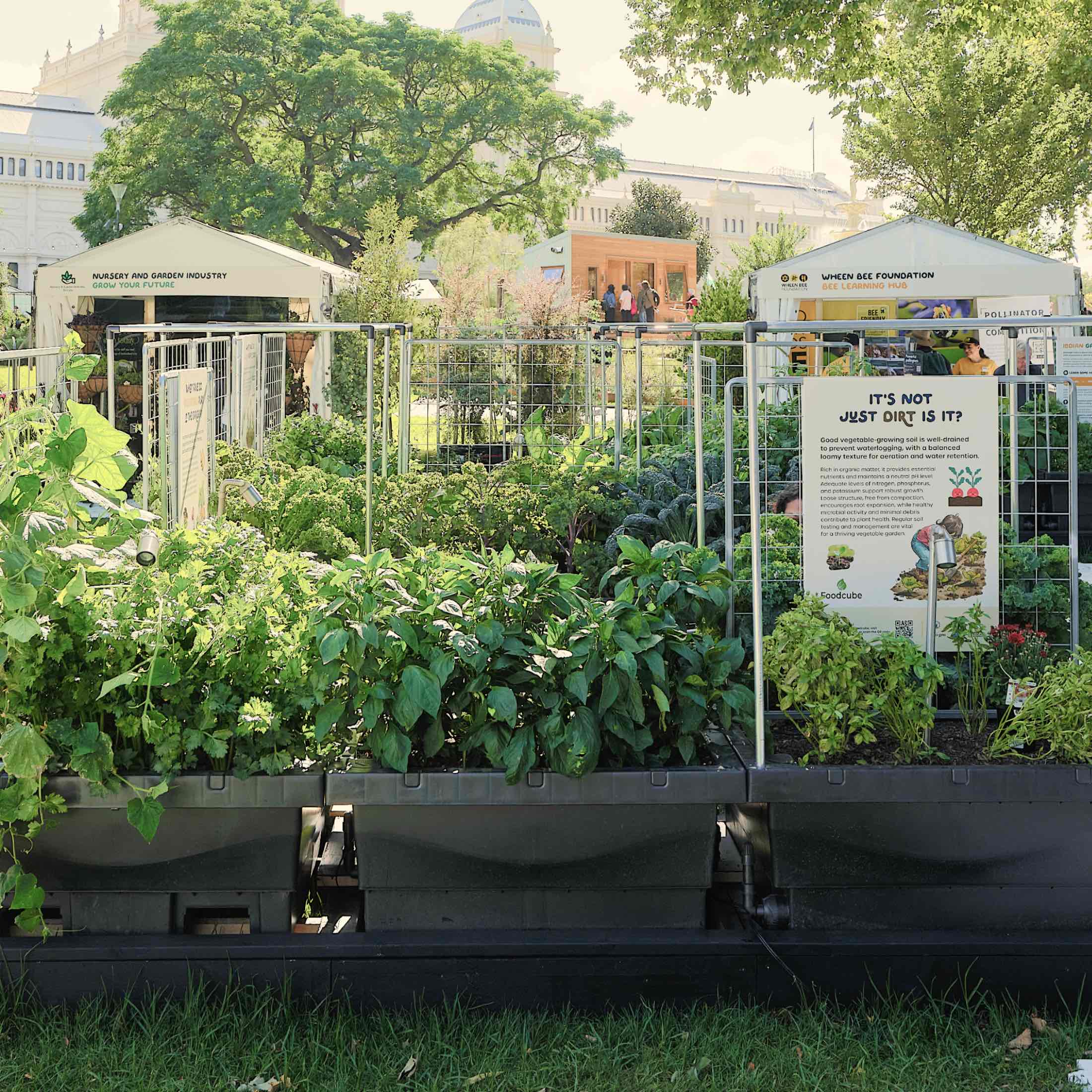Foodcube™ Large - The Next Generation of Self Watering Raised Beds - Image 8