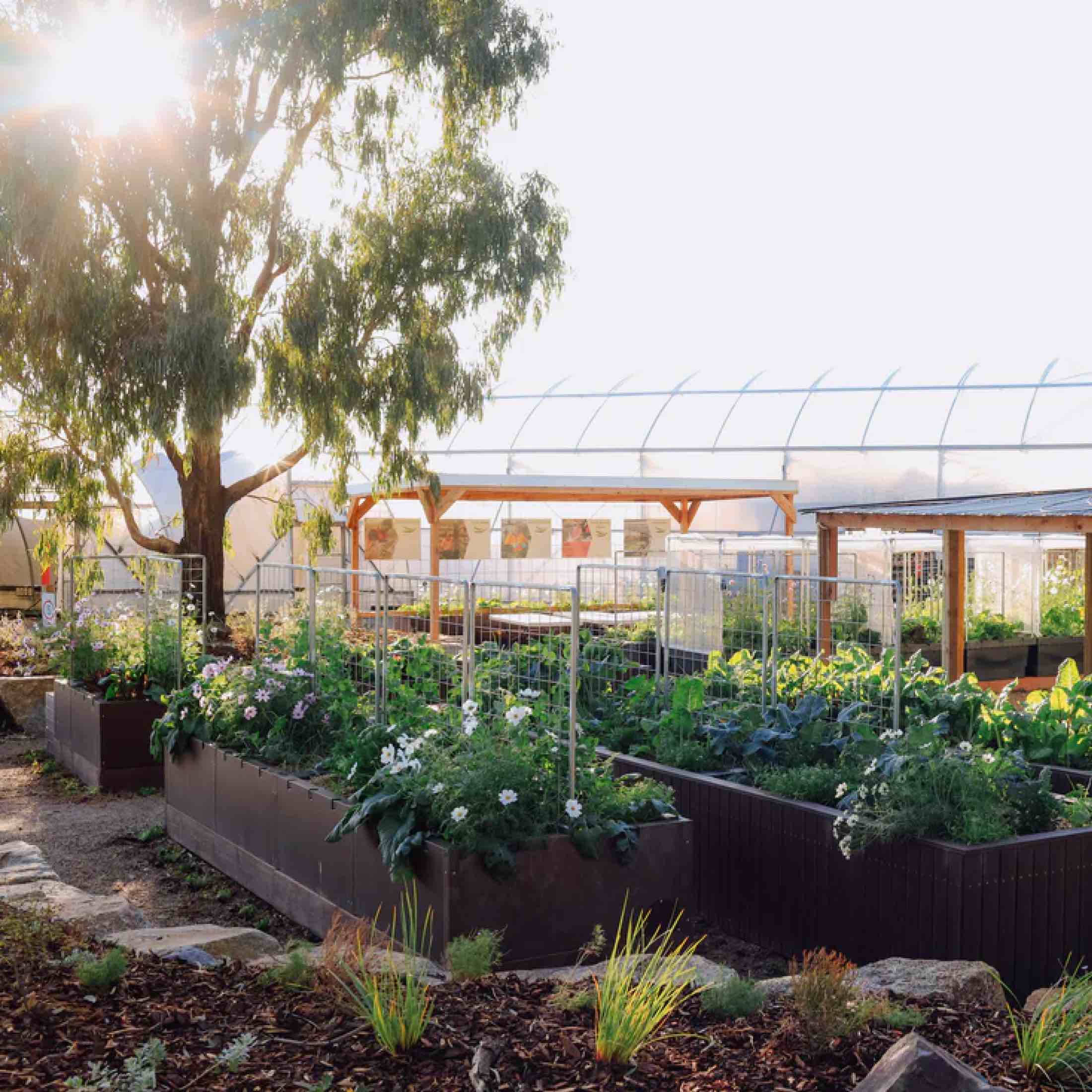 Foodcube™  Slim- The Next Generation of Self Watering Raised Garden - Image 9