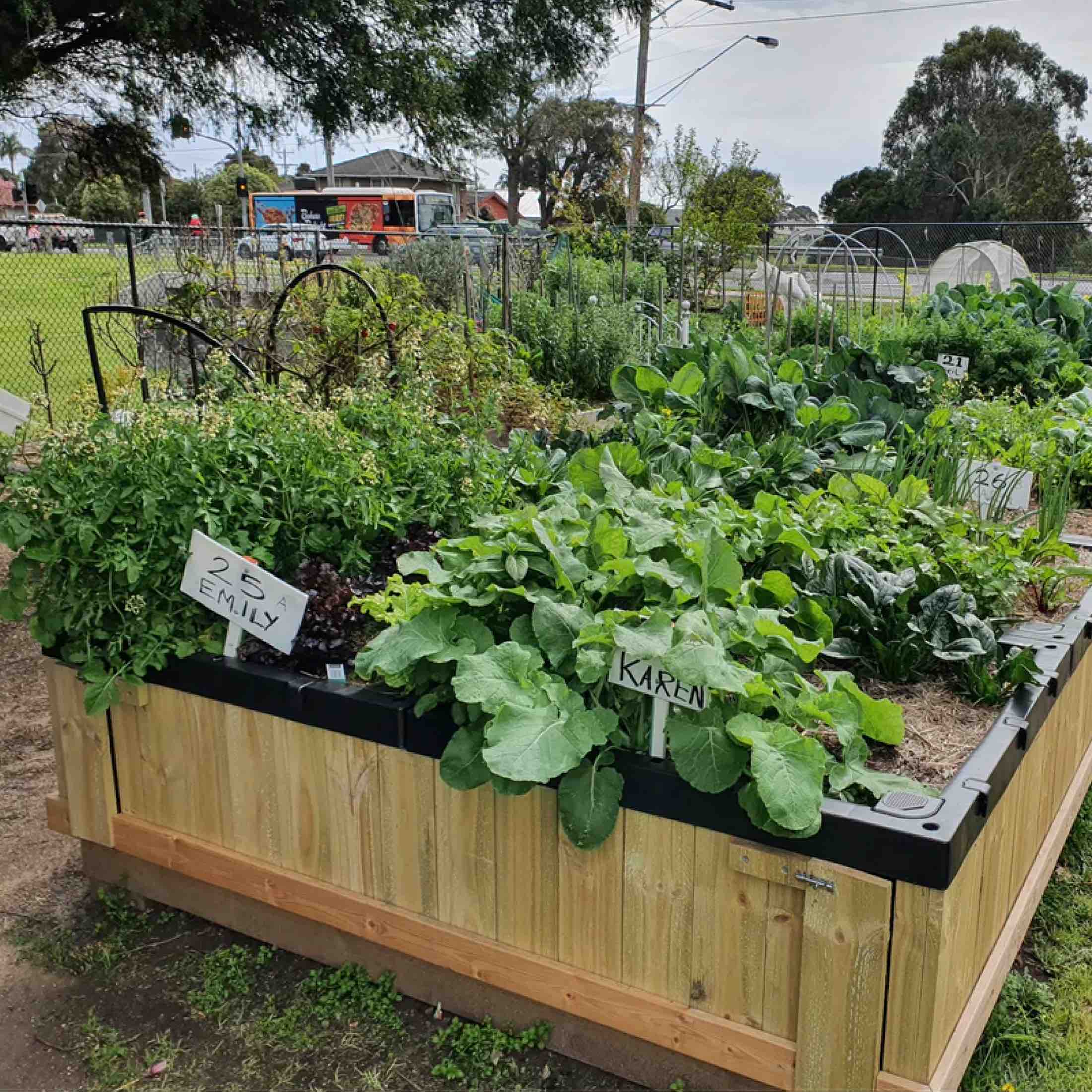 Foodcube™  Slim- The Next Generation of Self Watering Raised Garden - Image 8