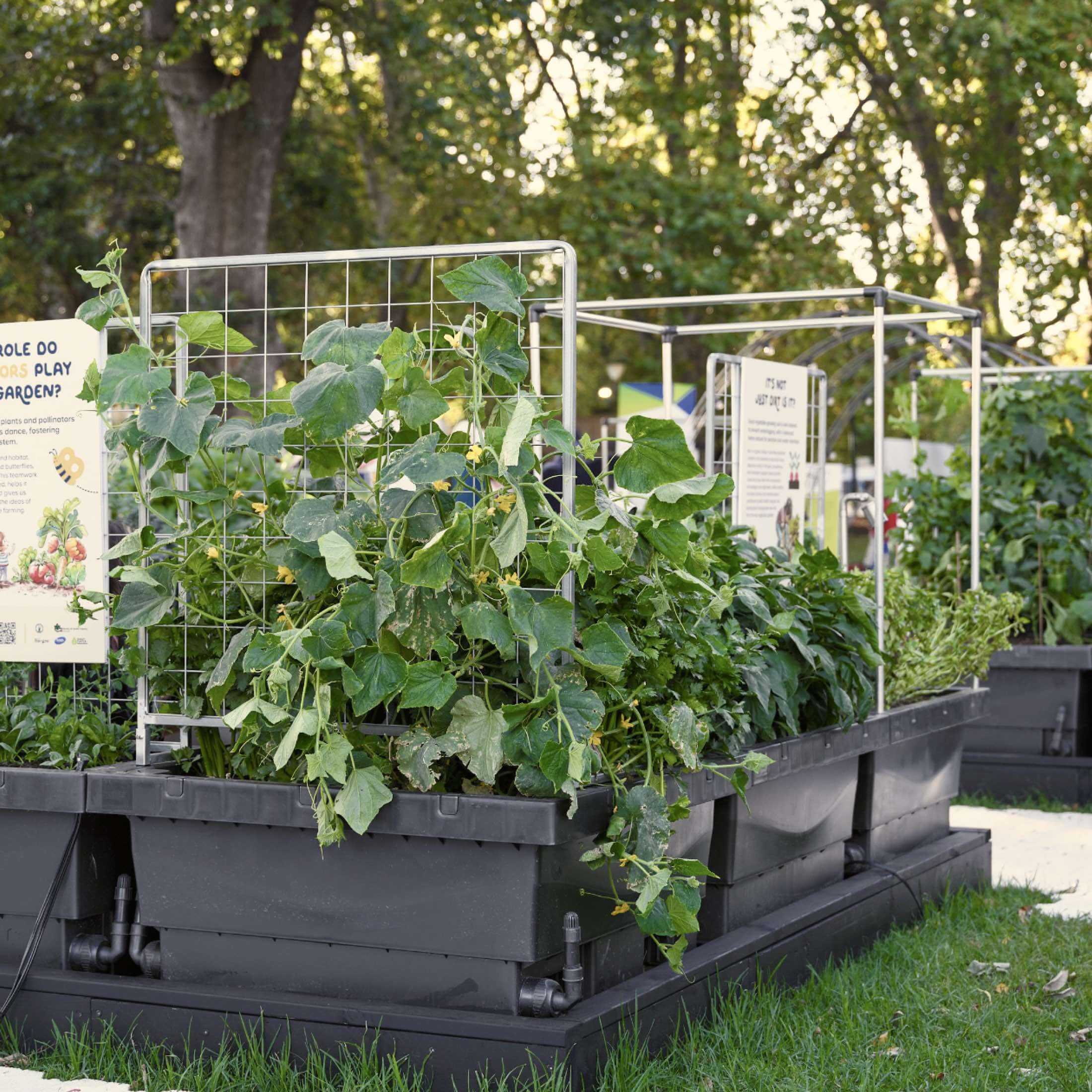 Foodcube™ Wall Trellis - Image 4