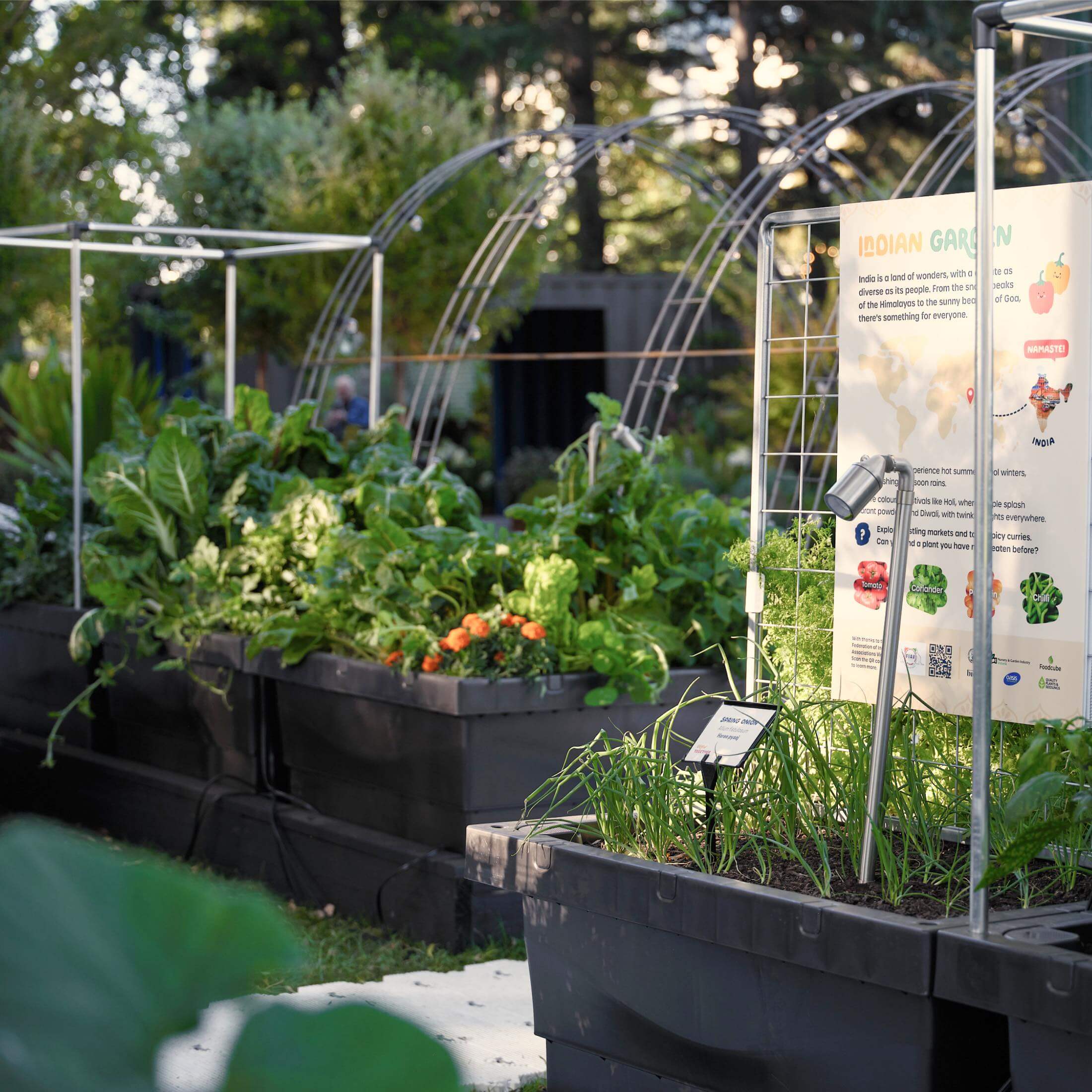 Foodcube™ Wall Trellis - Image 5