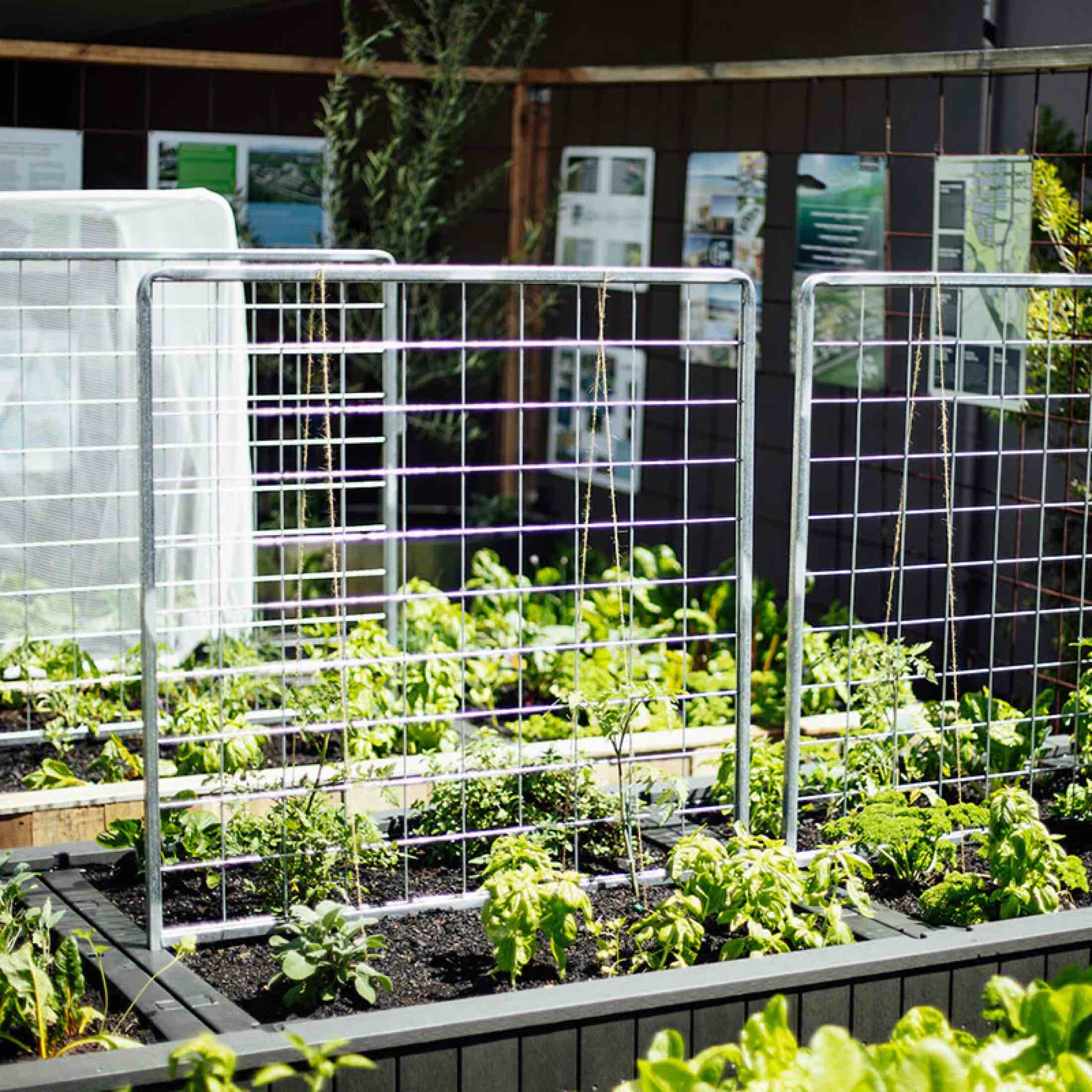Foodcube™ Wall Trellis - Image 6