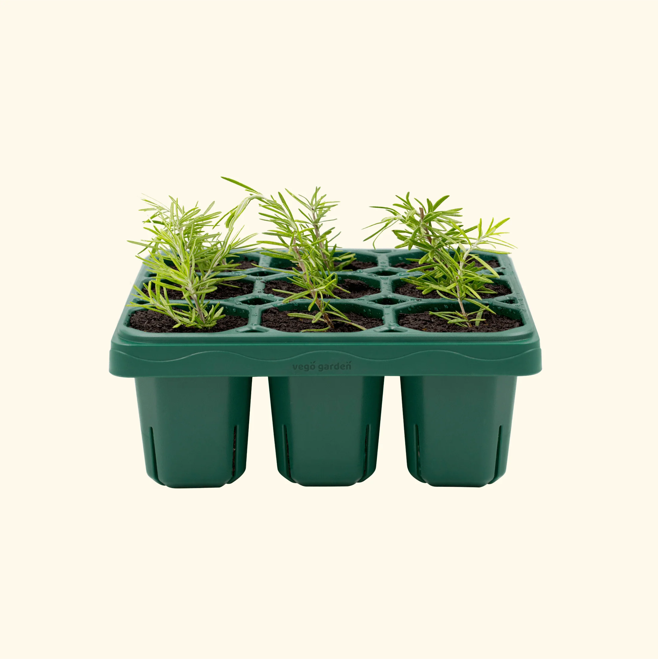 Giga Seedling Tray - 1 Pack
