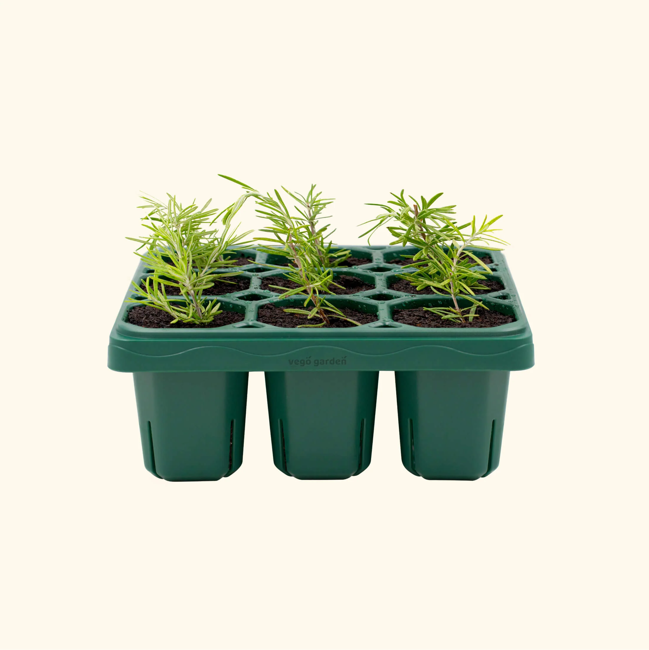 Giga Seedling Tray - 10" x 10"