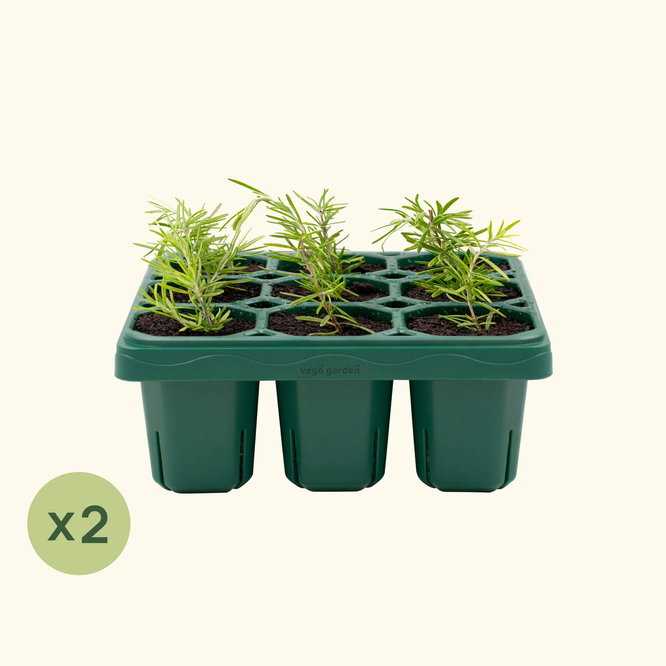 Giga Seedling Tray - 10" x 10" - Image 2