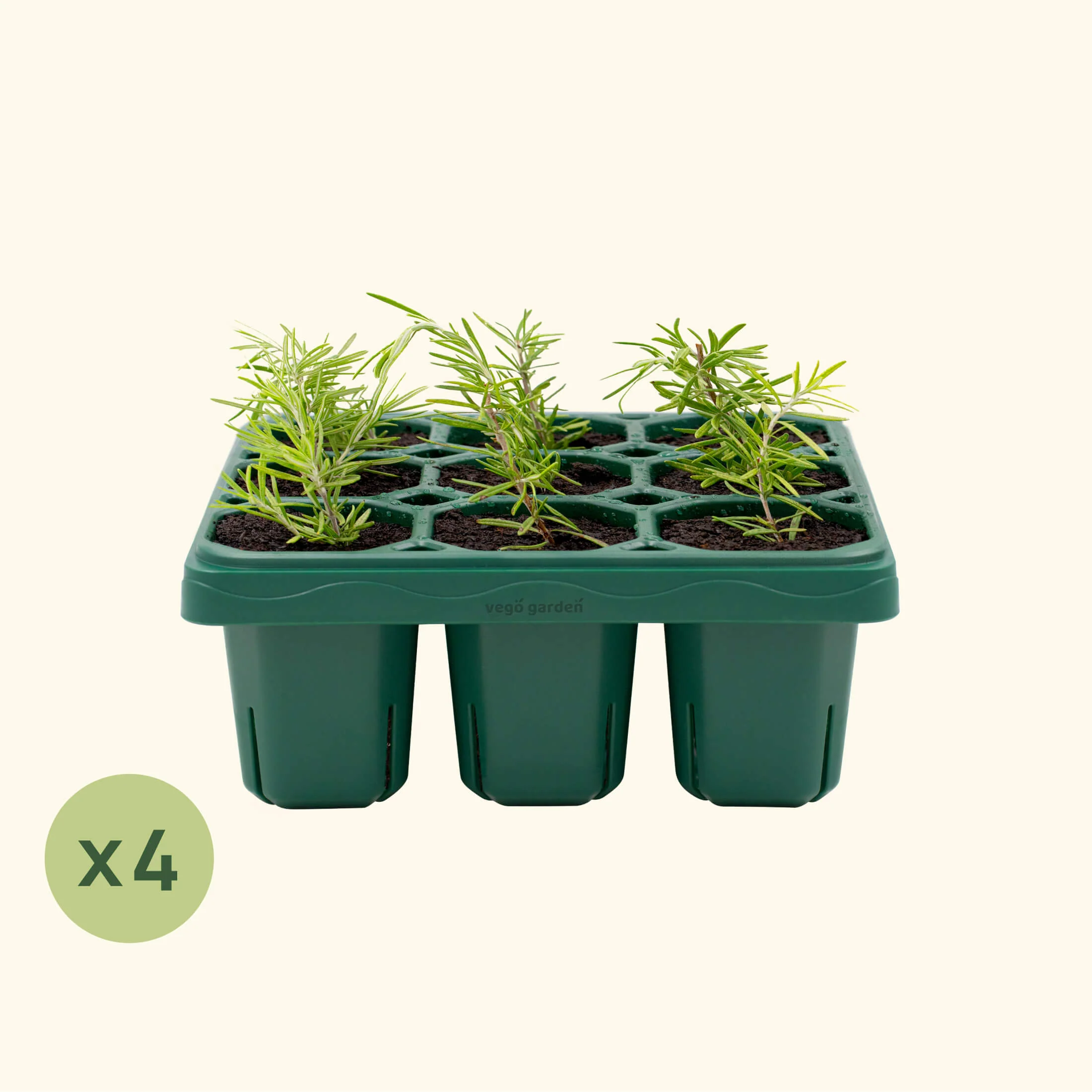 Giga Seedling Tray - 10" x 10" - Image 3