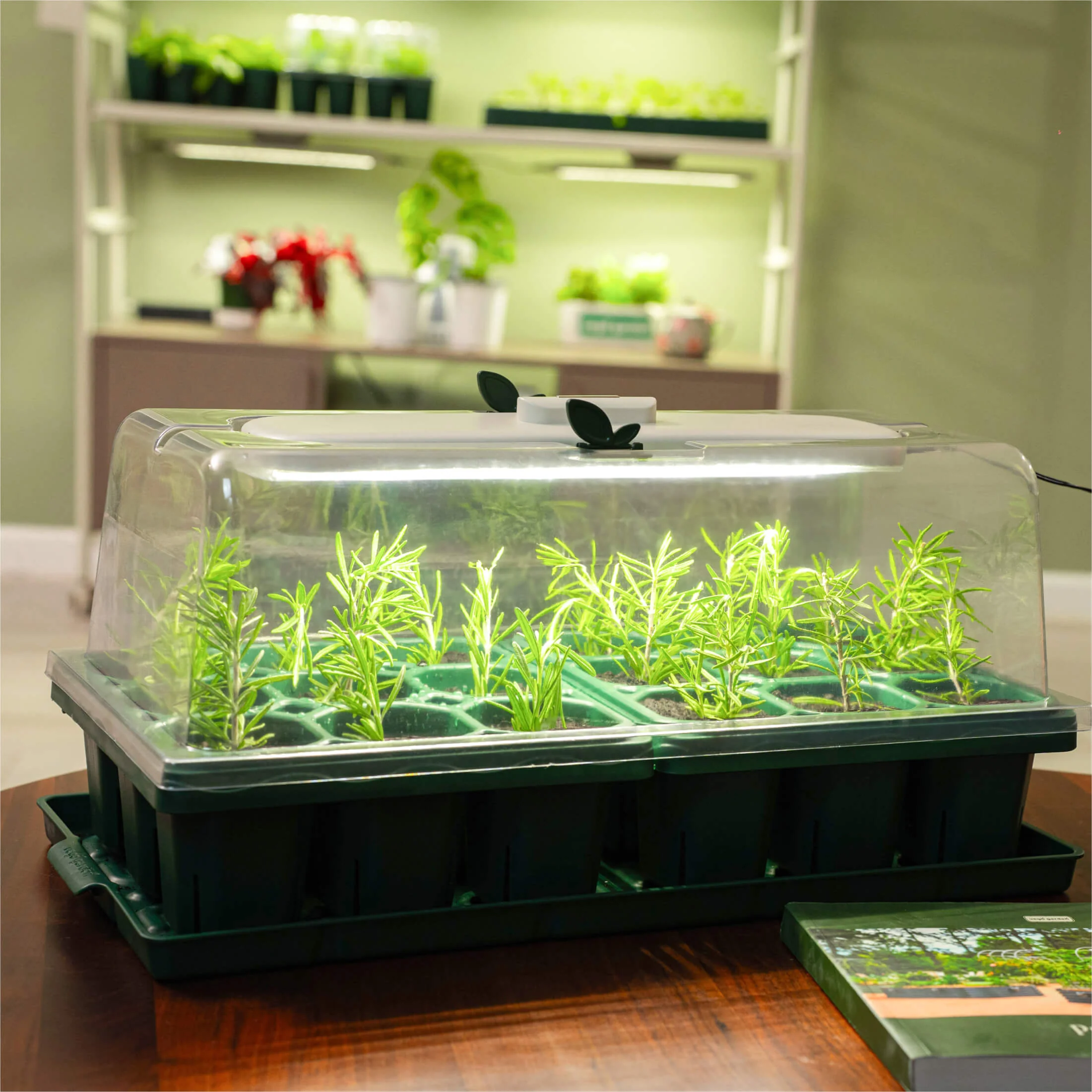 Giga Seedling Tray - 10" x 10" - Image 9