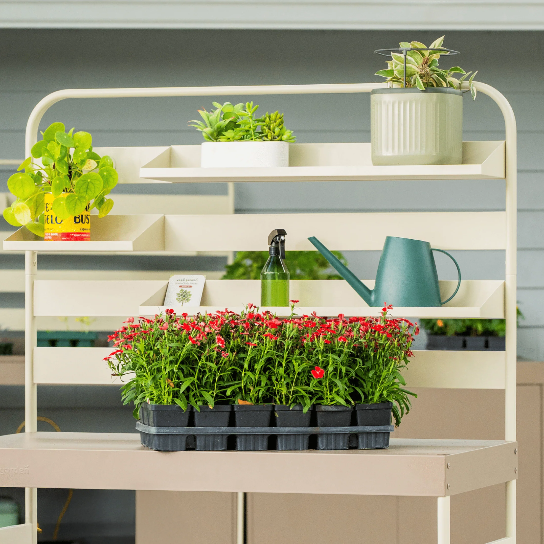 Hanging Rack Shelf Set - Image 2