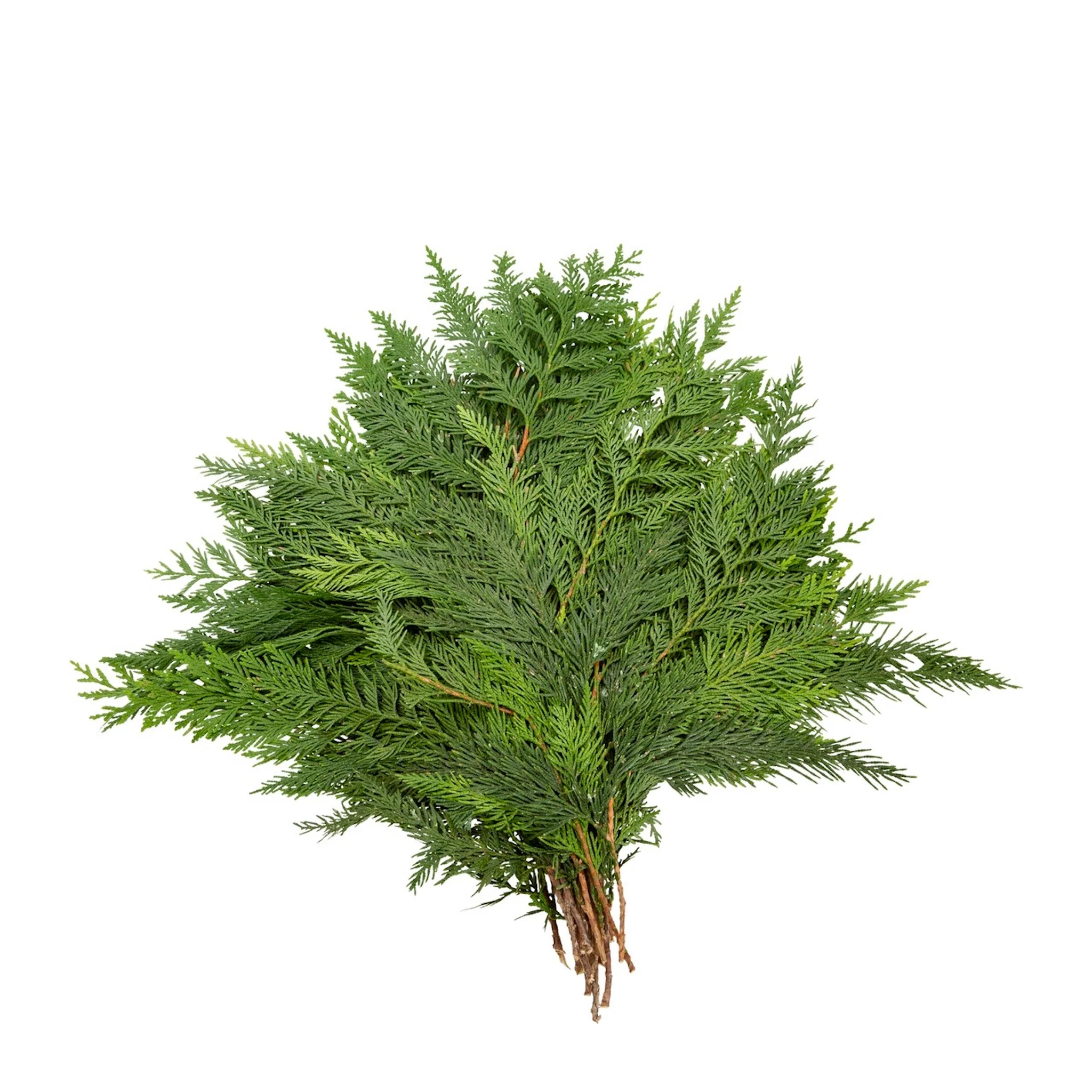 Holiday Bough Bundles