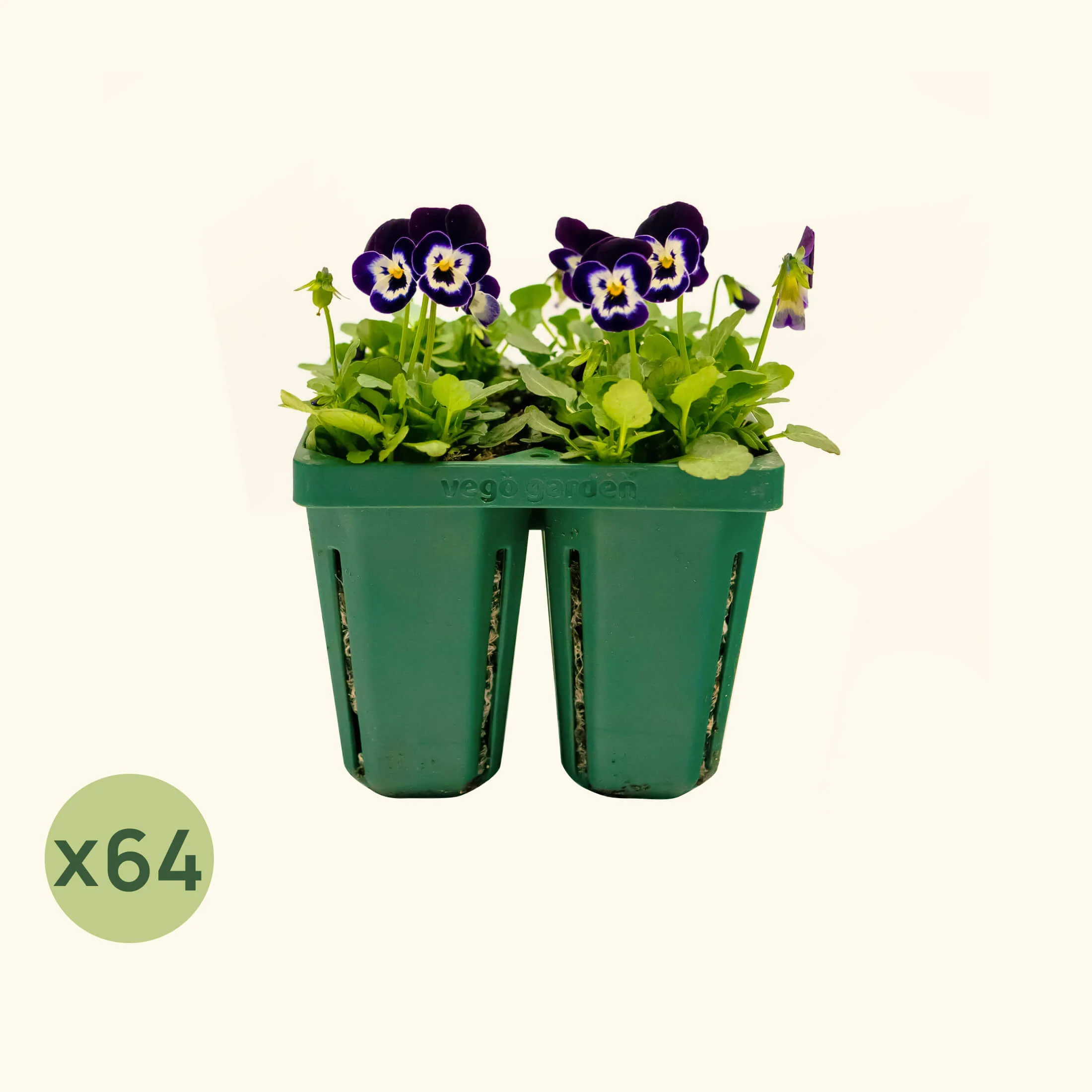 Jumbo Seedling Tray - 5" x 5" - Image 11