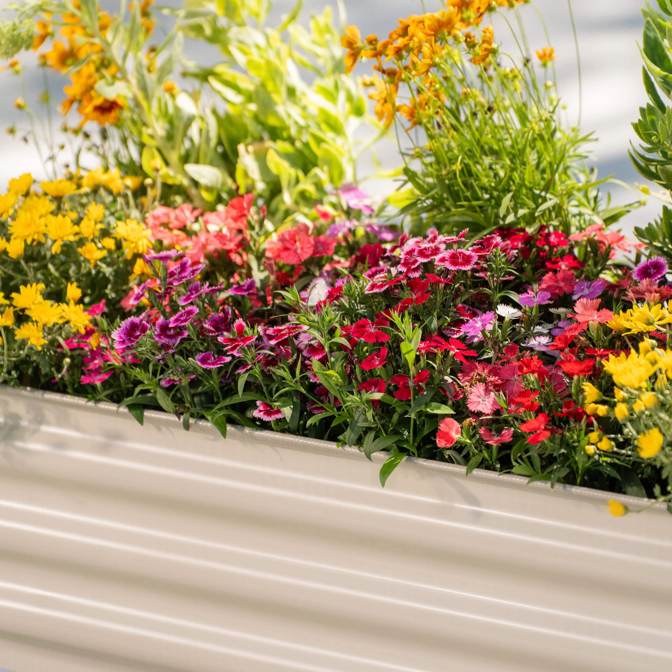 Kids First Elevated Garden Bed - 1.3' x 3.0' - Image 11