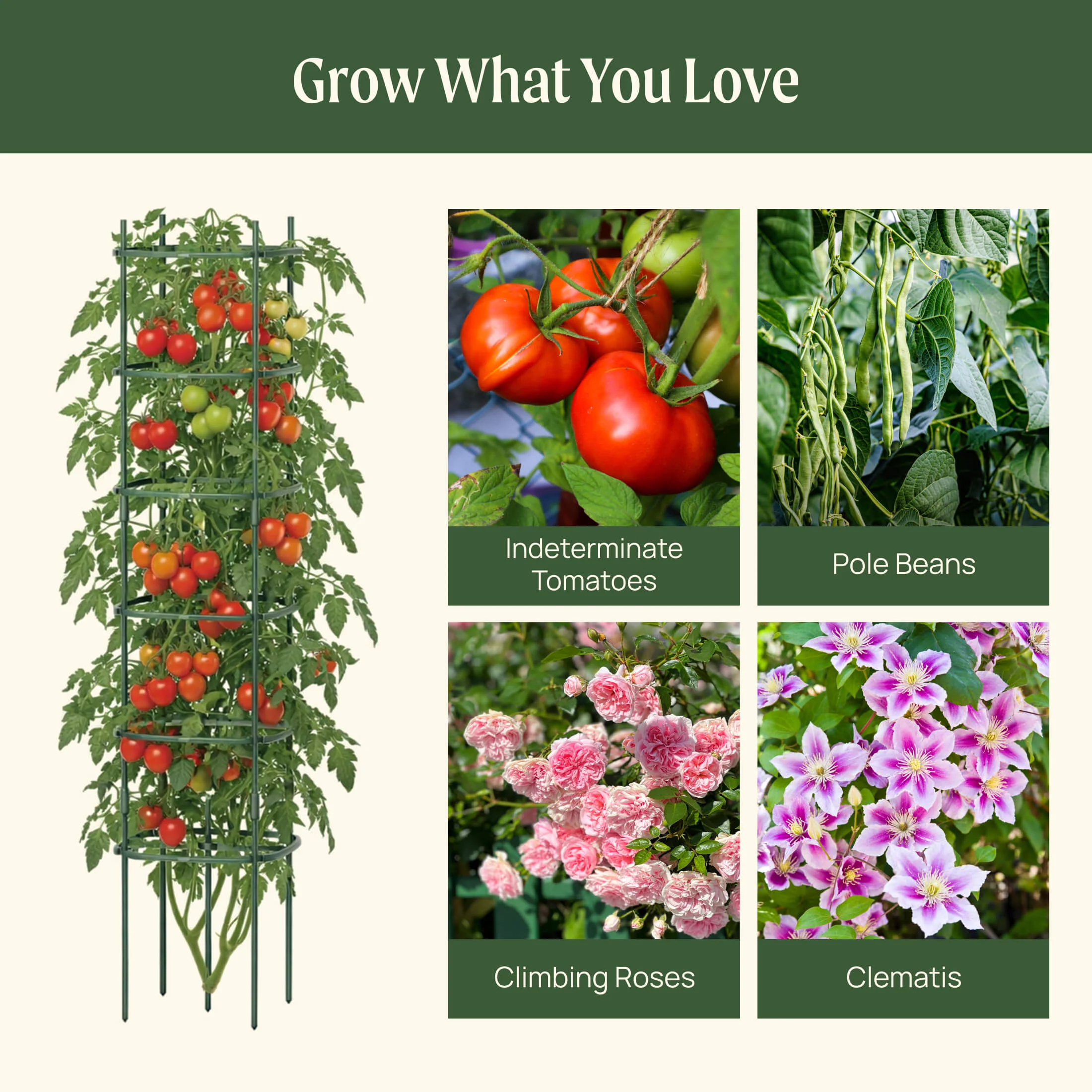 MaxGrow Tomato Tower 6 Tier - 3 Pack - Image 12