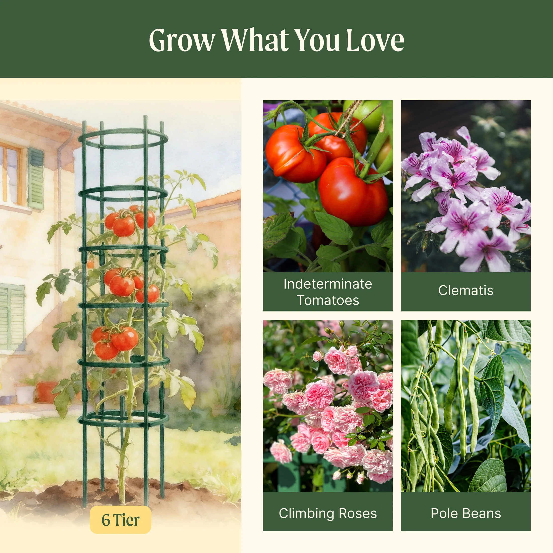 MaxGrow Tomato Tower 6 Tier - 3 Pack - Image 20
