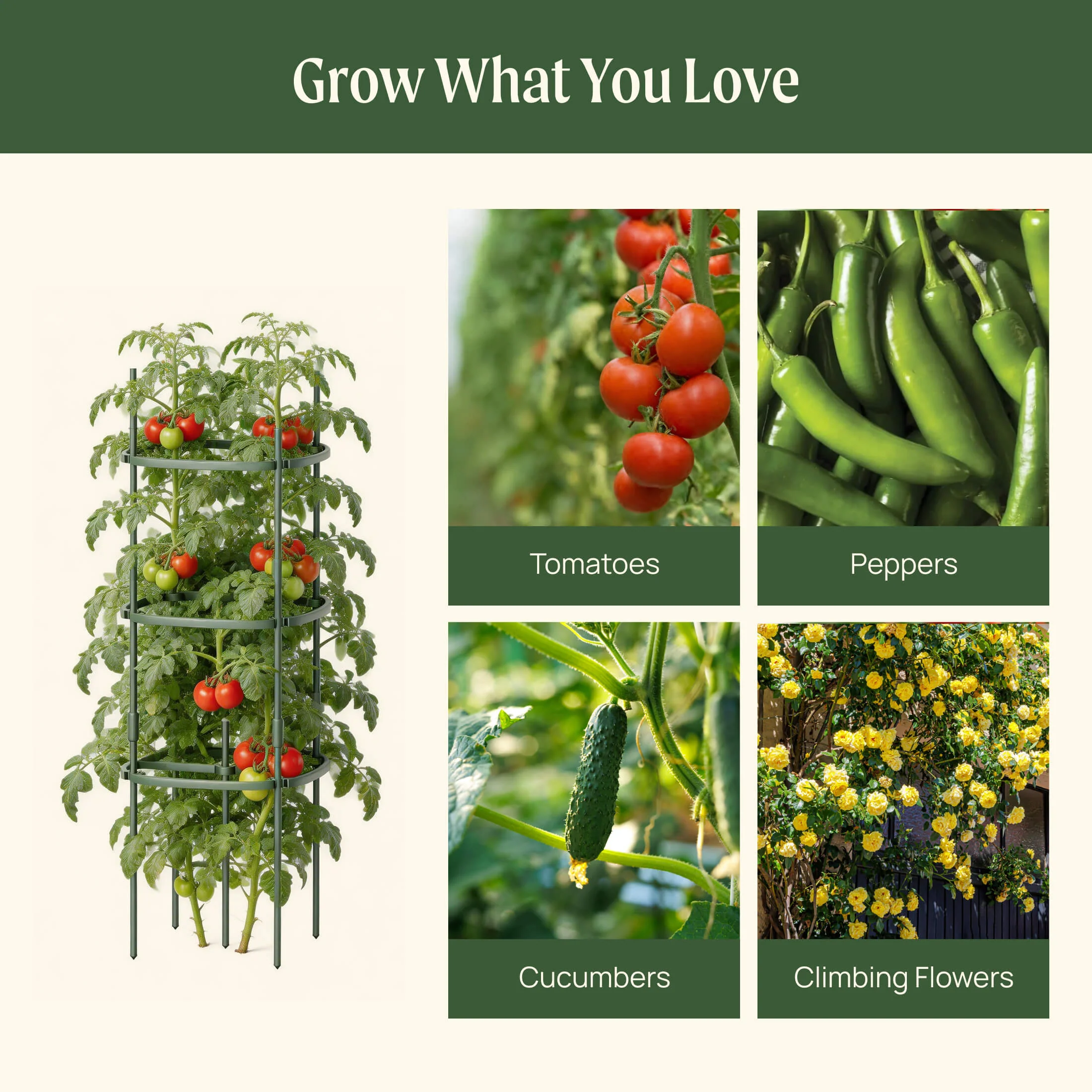 MaxGrow Tomato Tower 6 Tier - 3 Pack - Image 8