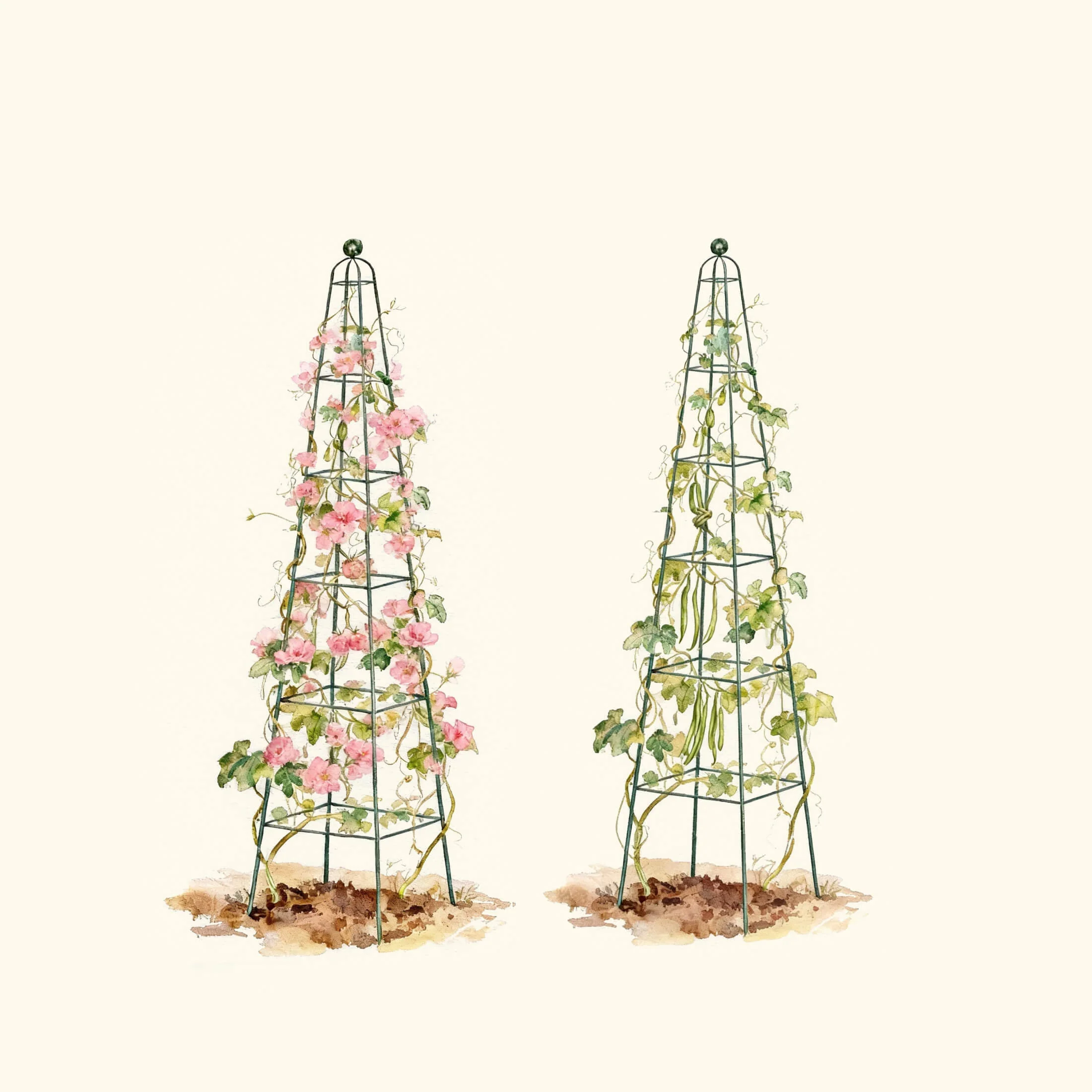 Pyramid Obelisk Garden Trellis - 7.8 ft - Image 3