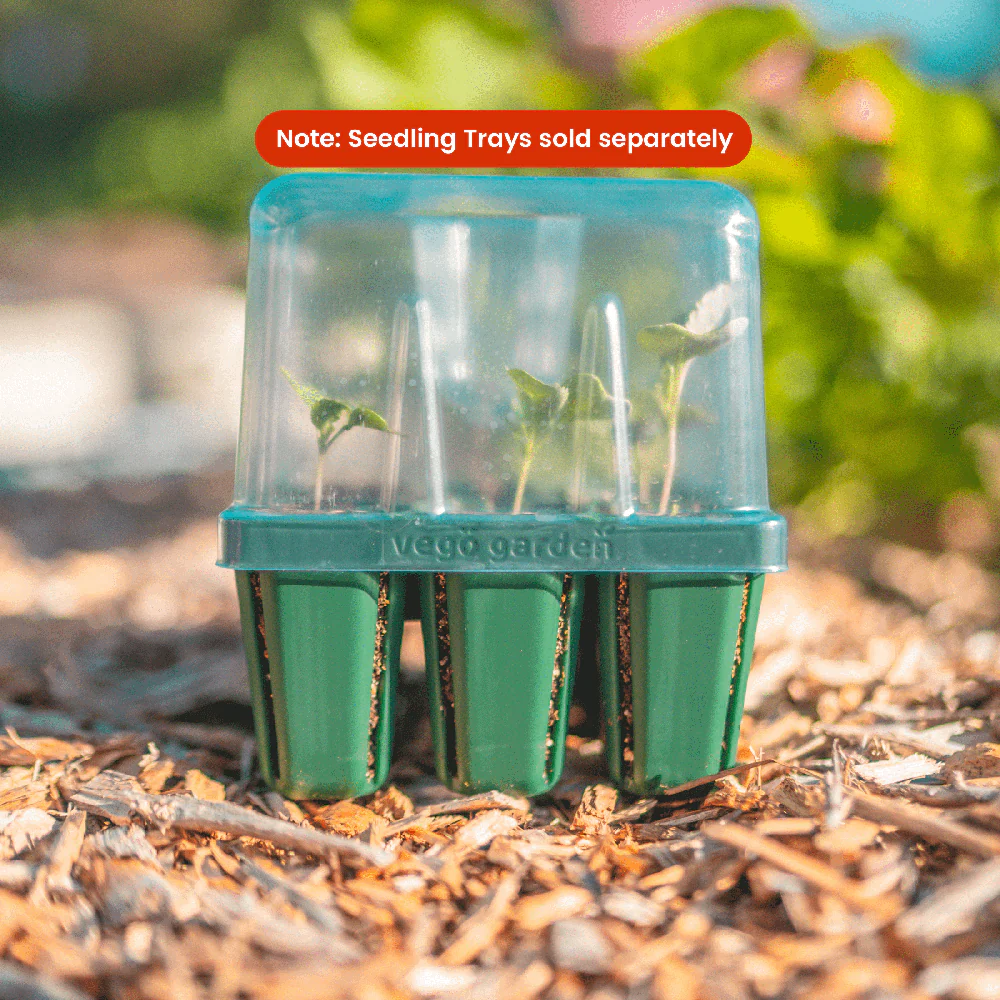 Seedling Drip Humidity Dome - 5" x 5" - Image 3