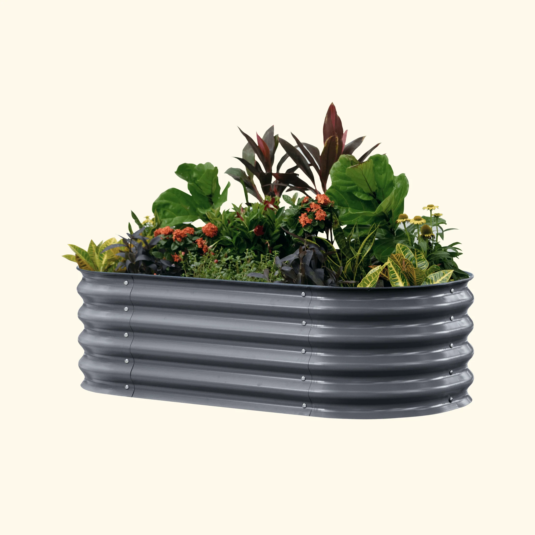 Self-Watering Garden Bed - 2' x 8' - Image 11