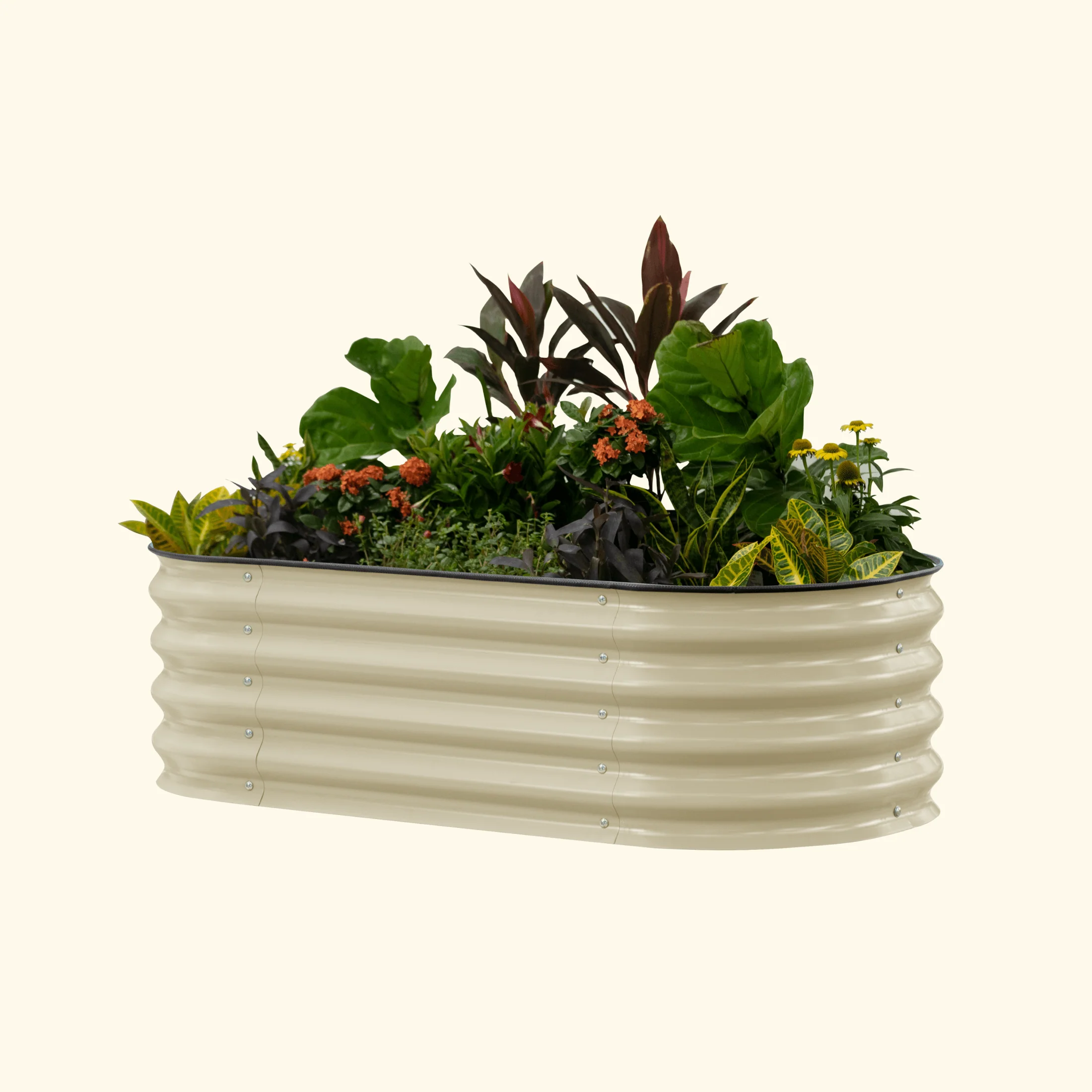 Self-Watering Garden Bed - 2' x 8' - Image 13