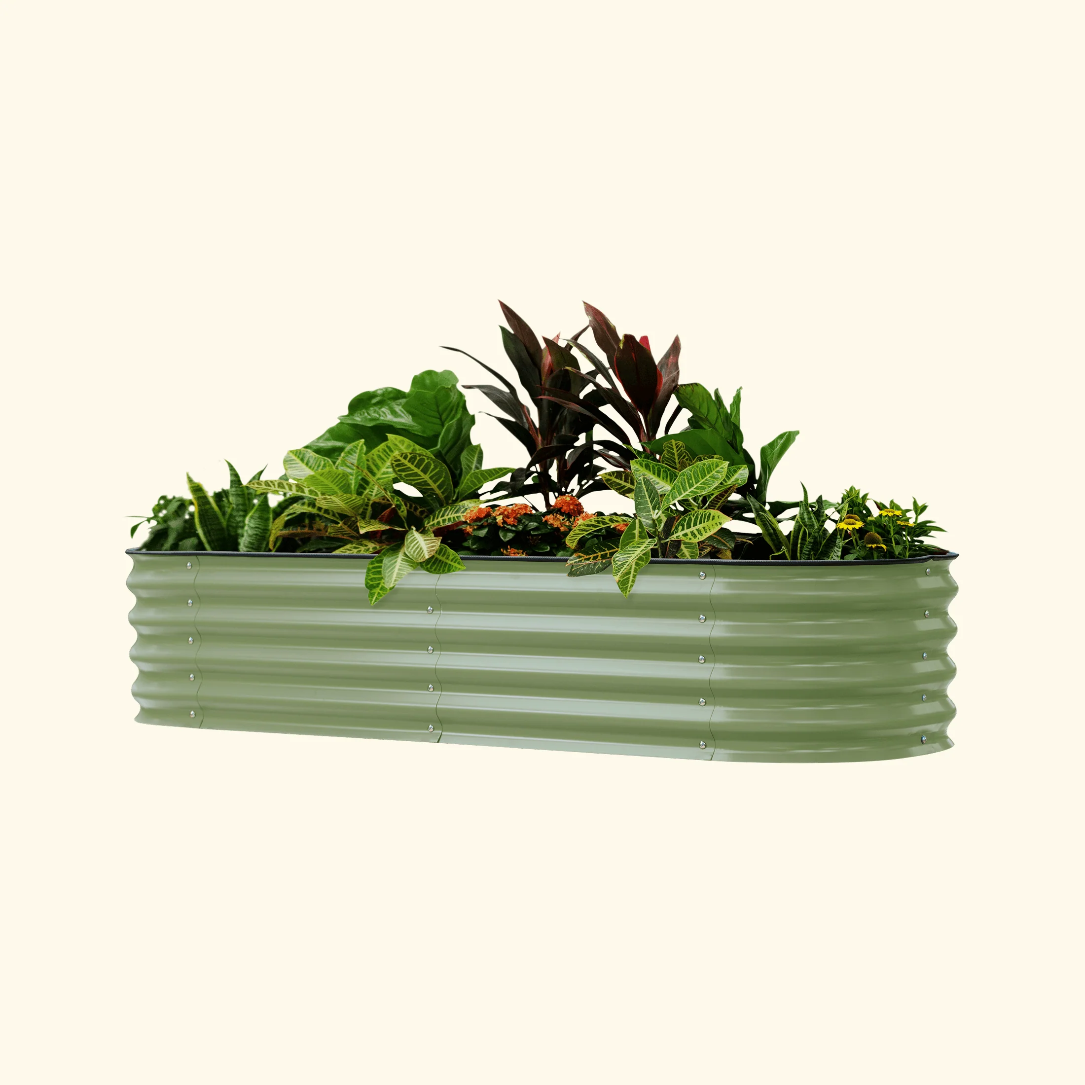 Self-Watering Garden Bed - 2' x 8' - Image 15