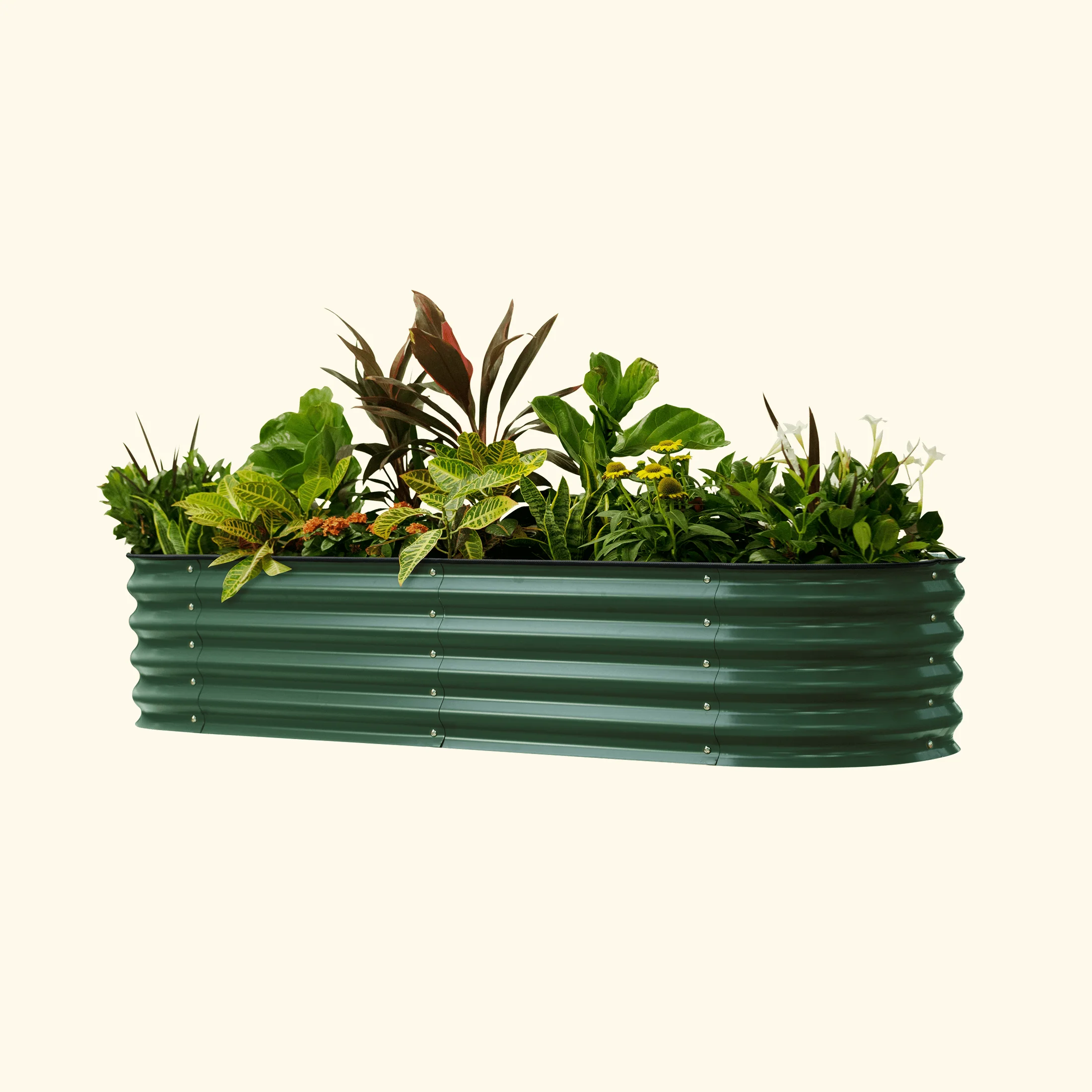 Self-Watering Garden Bed - 2' x 8' - Image 17