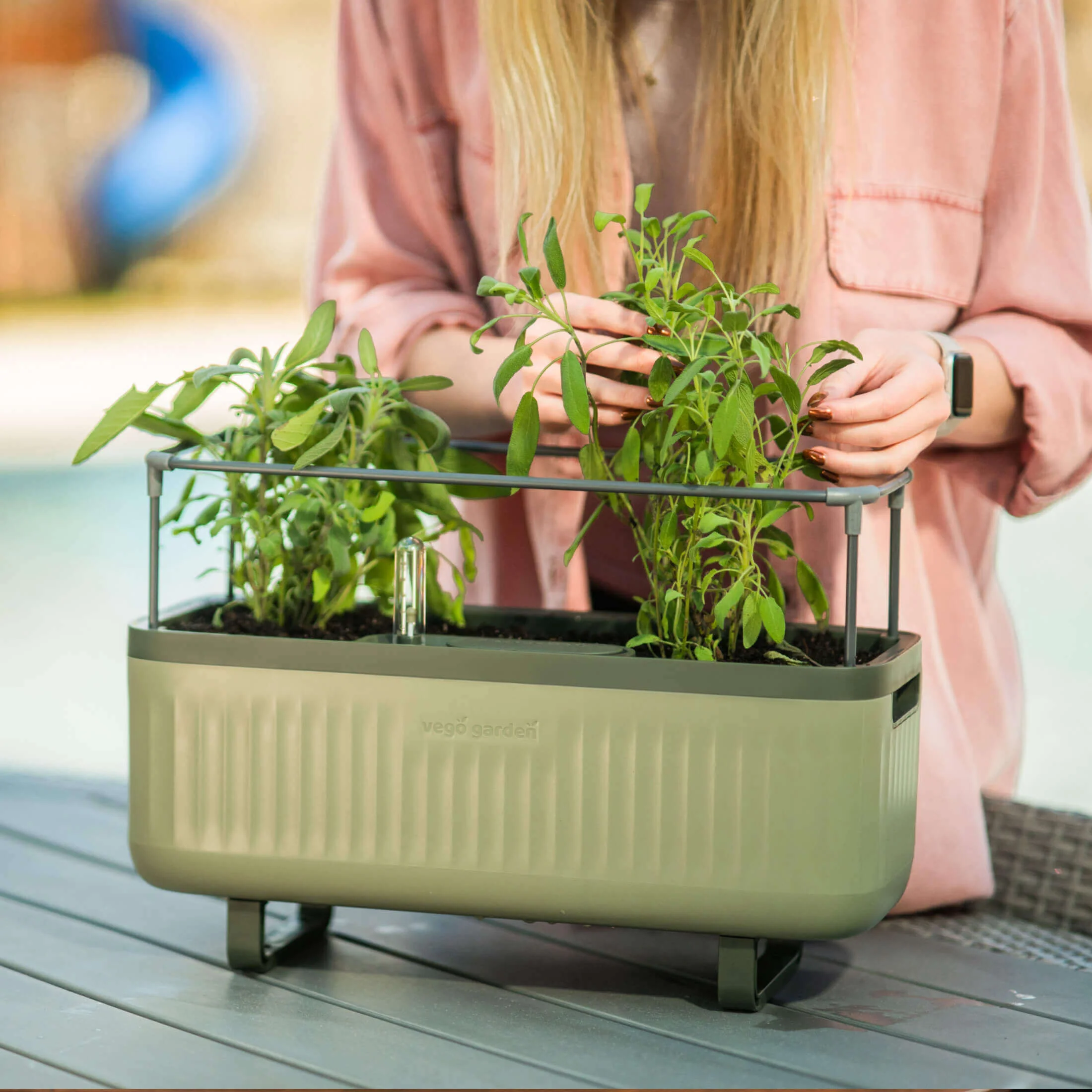 EZ Self-Watering Herb Planter with Trellis G1 - Image 13