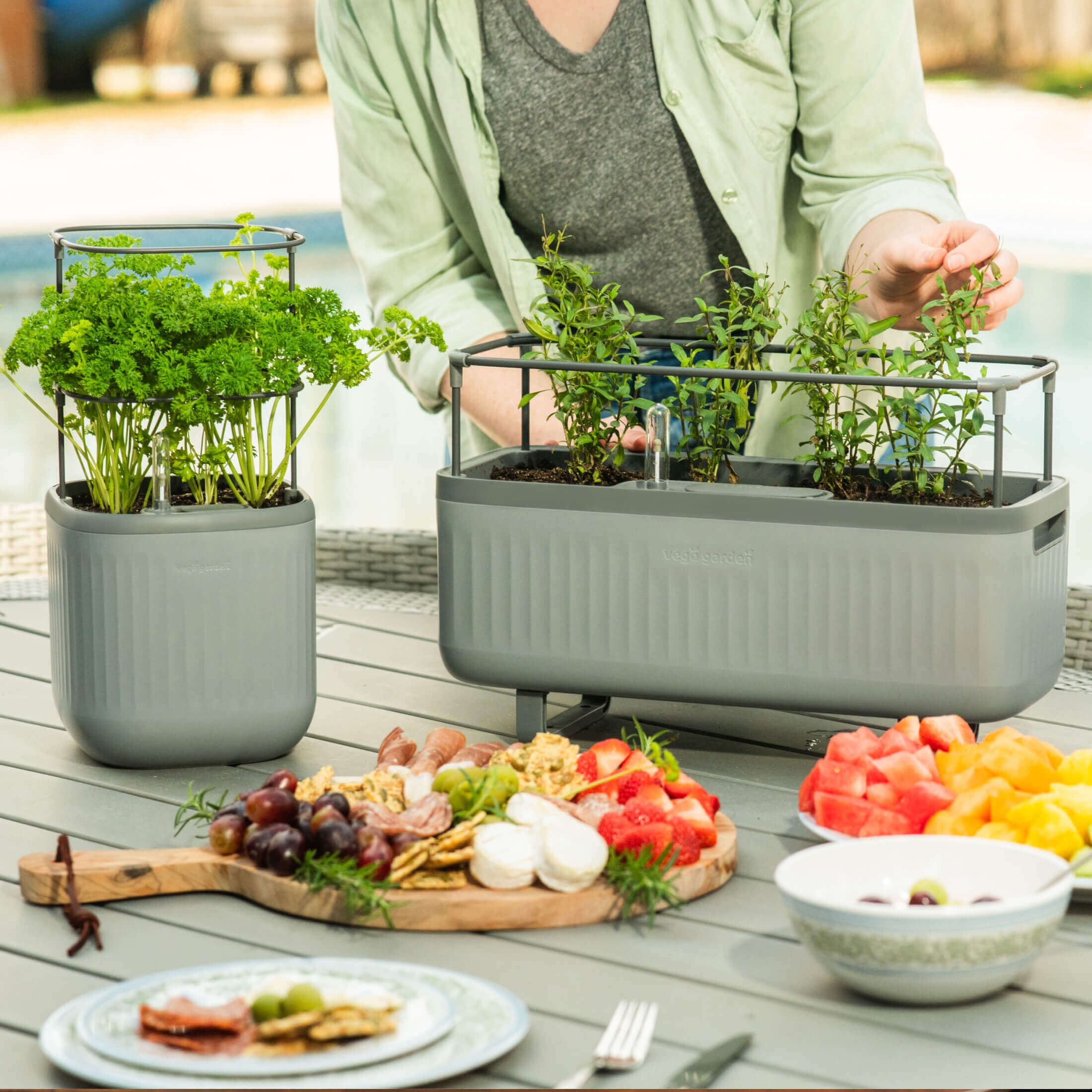 EZ Self-Watering Herb Planter with Trellis G1 - Image 15