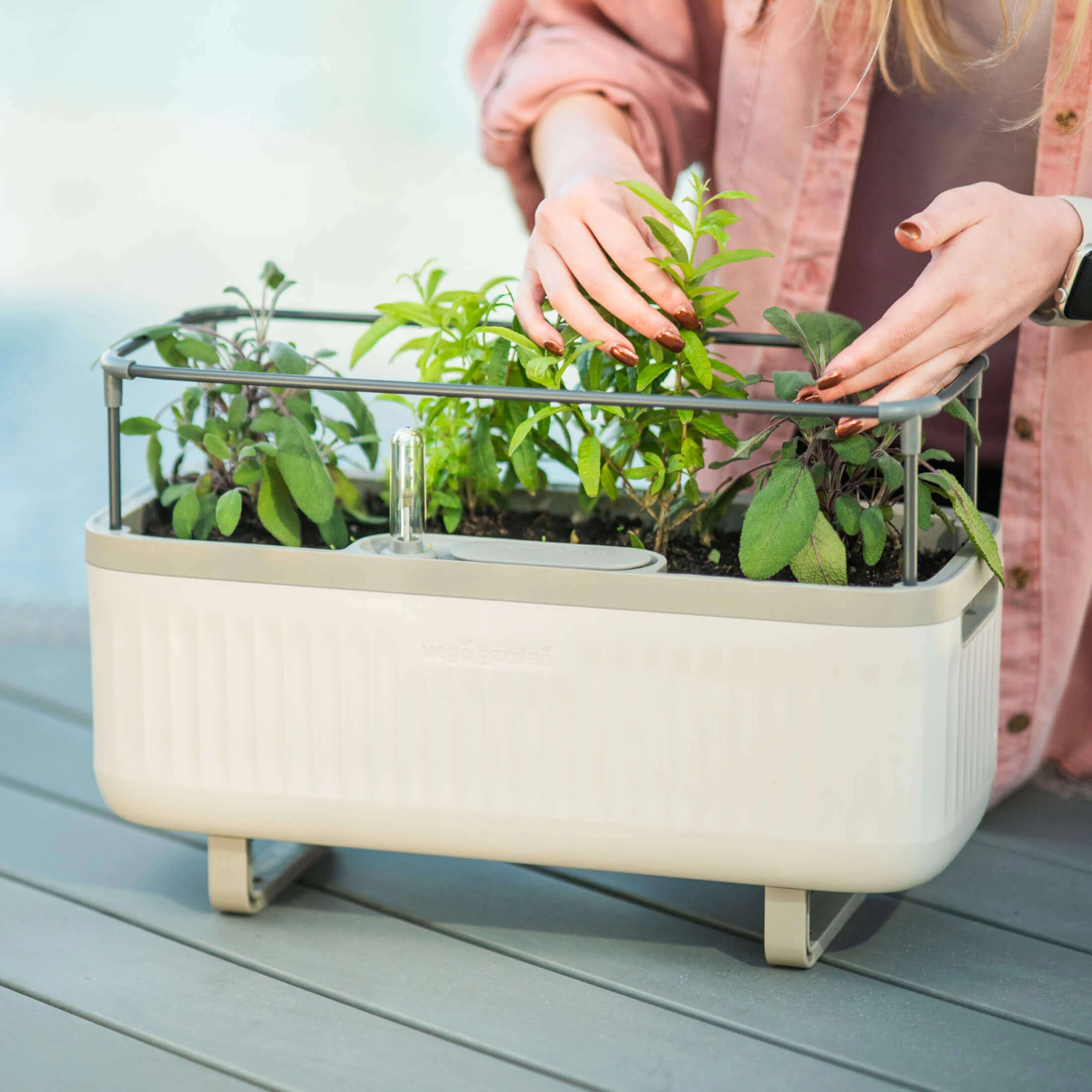 EZ Self-Watering Herb Planter with Trellis G1 - Image 16