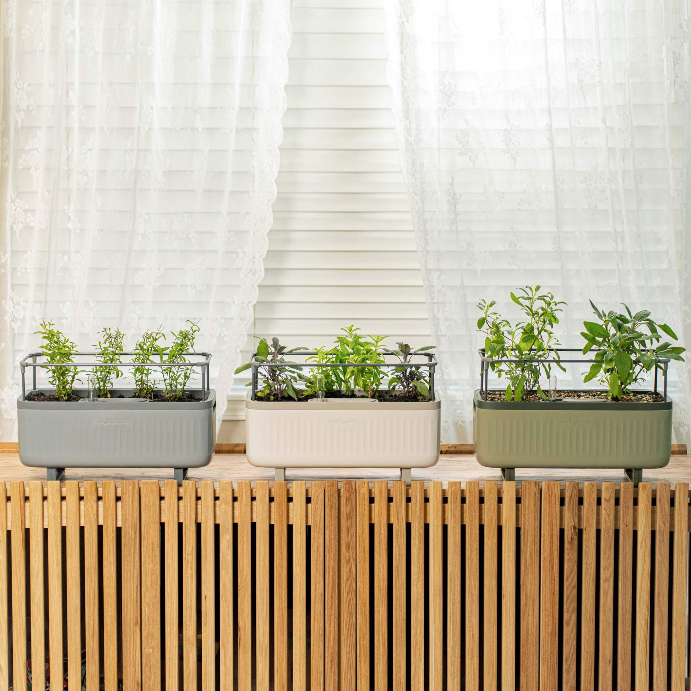 EZ Self-Watering Herb Planter with Trellis G1 - Image 17