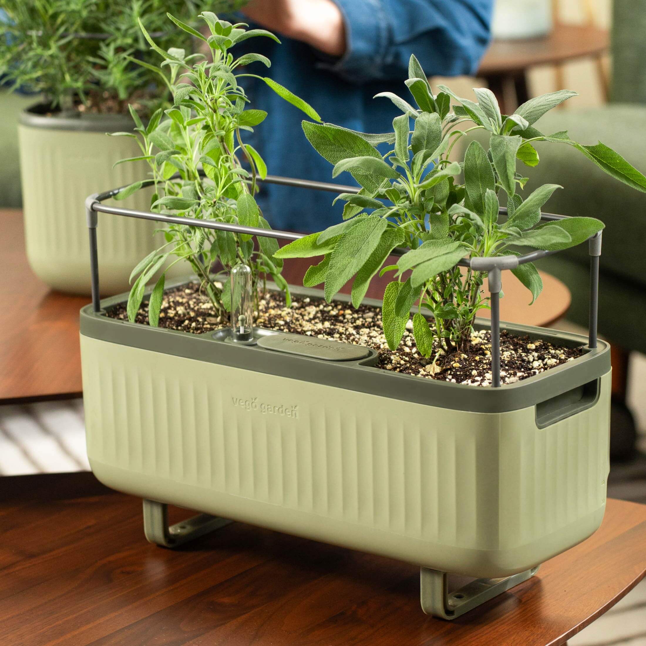 EZ Self-Watering Herb Planter with Trellis G1 - Image 18