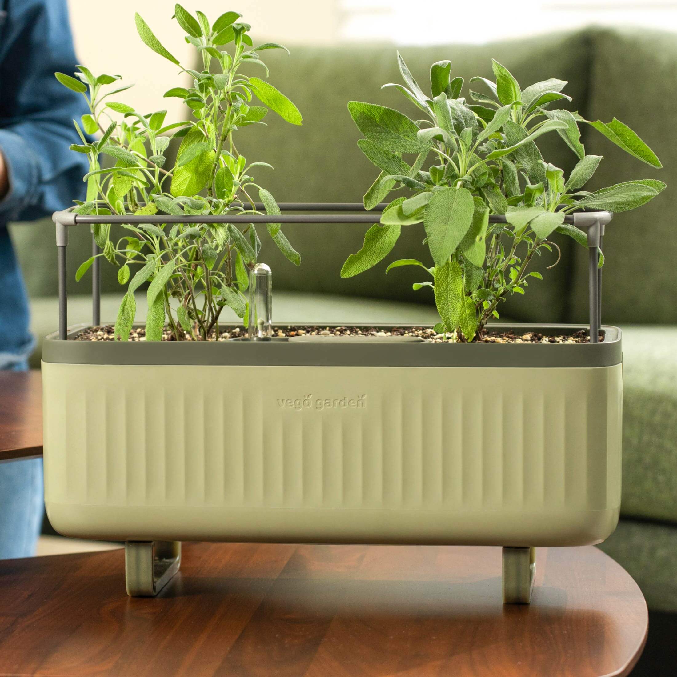 EZ Self-Watering Herb Planter with Trellis G1 - Image 19