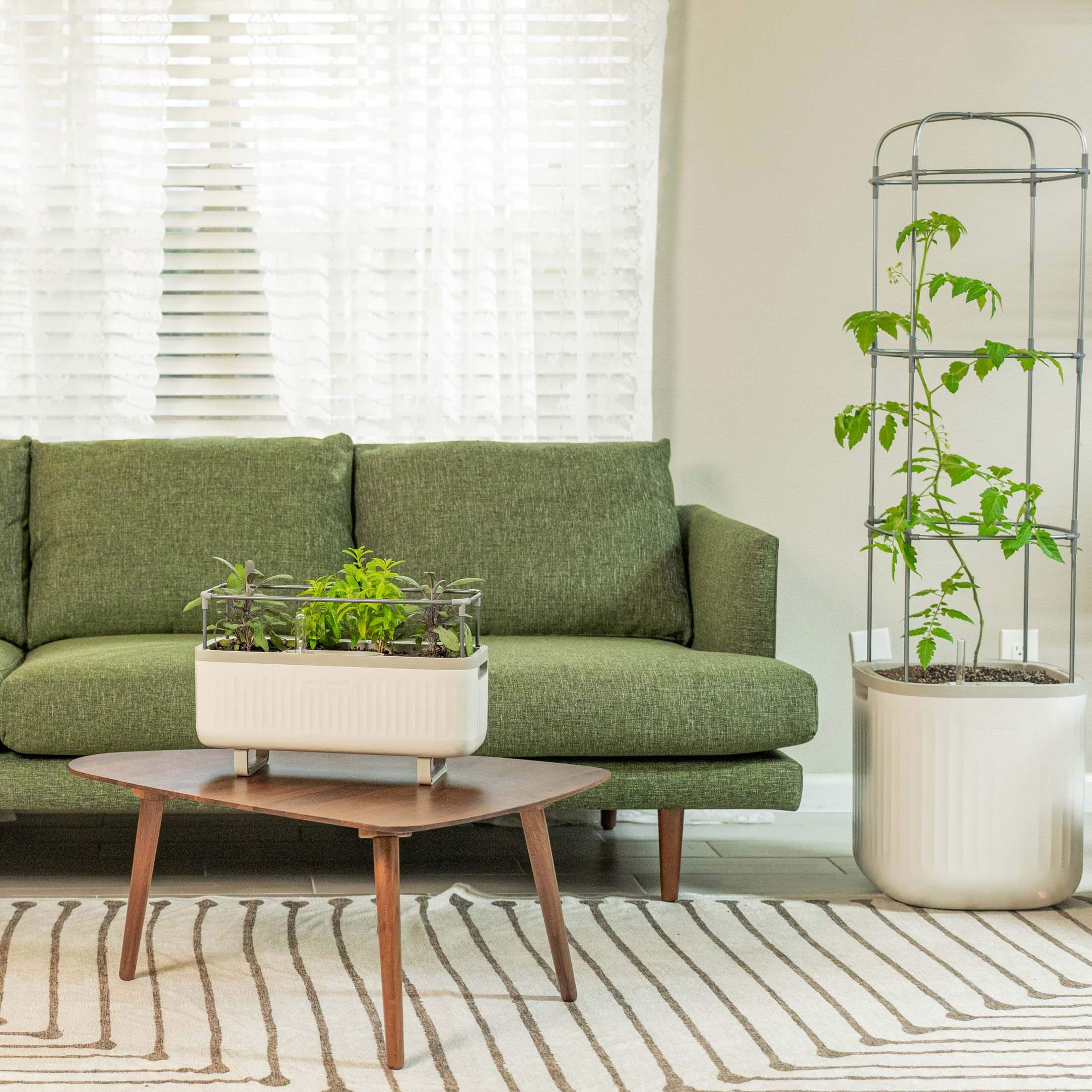EZ Self-Watering Herb Planter with Trellis G1 - Image 20