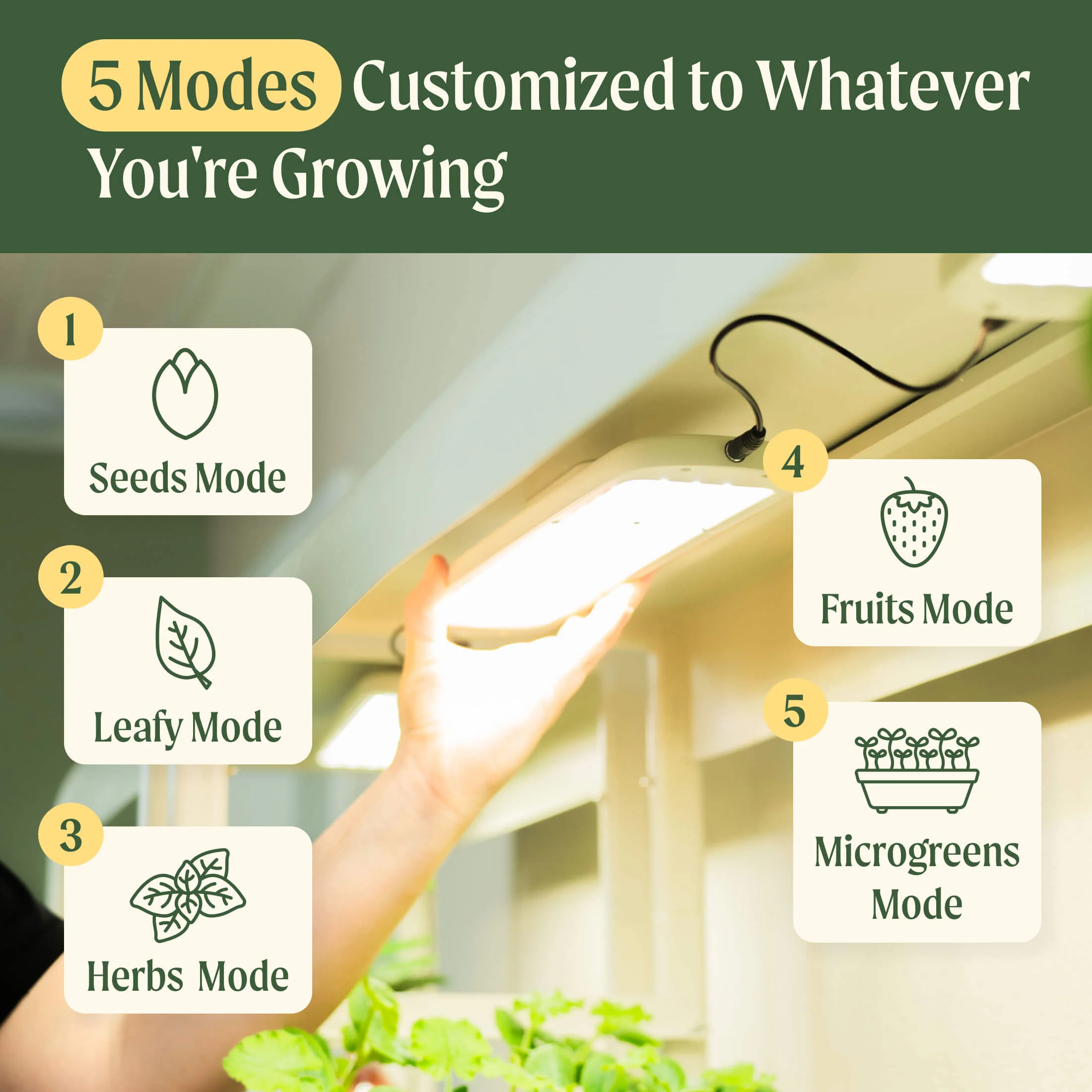 4 Tier Grow Light Garden - Image 6